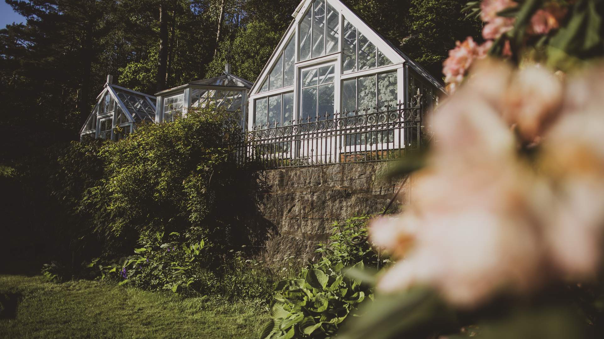 Drivhuset_Furulunden_LIN_01029_Foto_Iselinn_Andersen