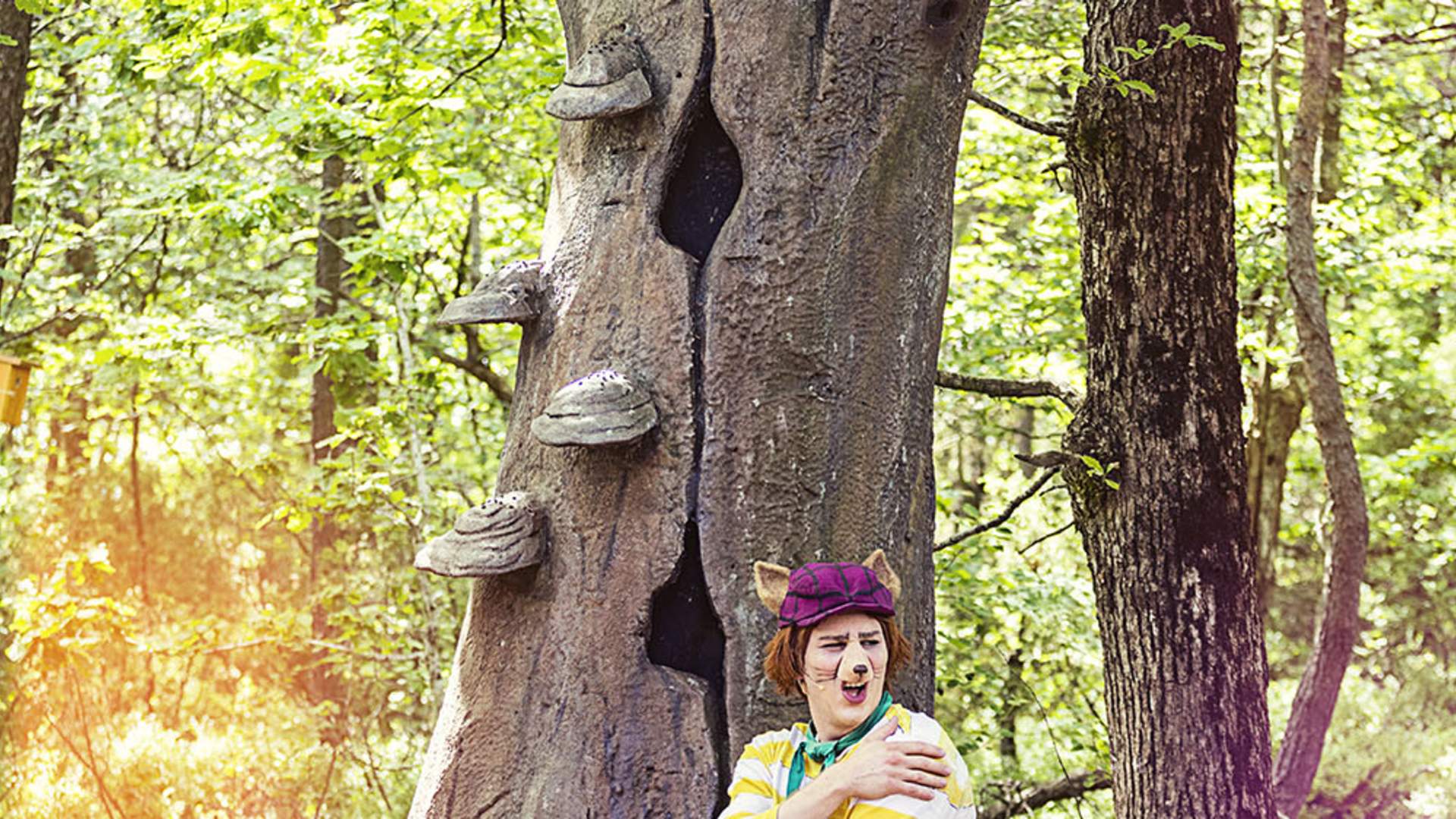 Dyreparken-Kristiansand-Hakkebakkeskogen-treet