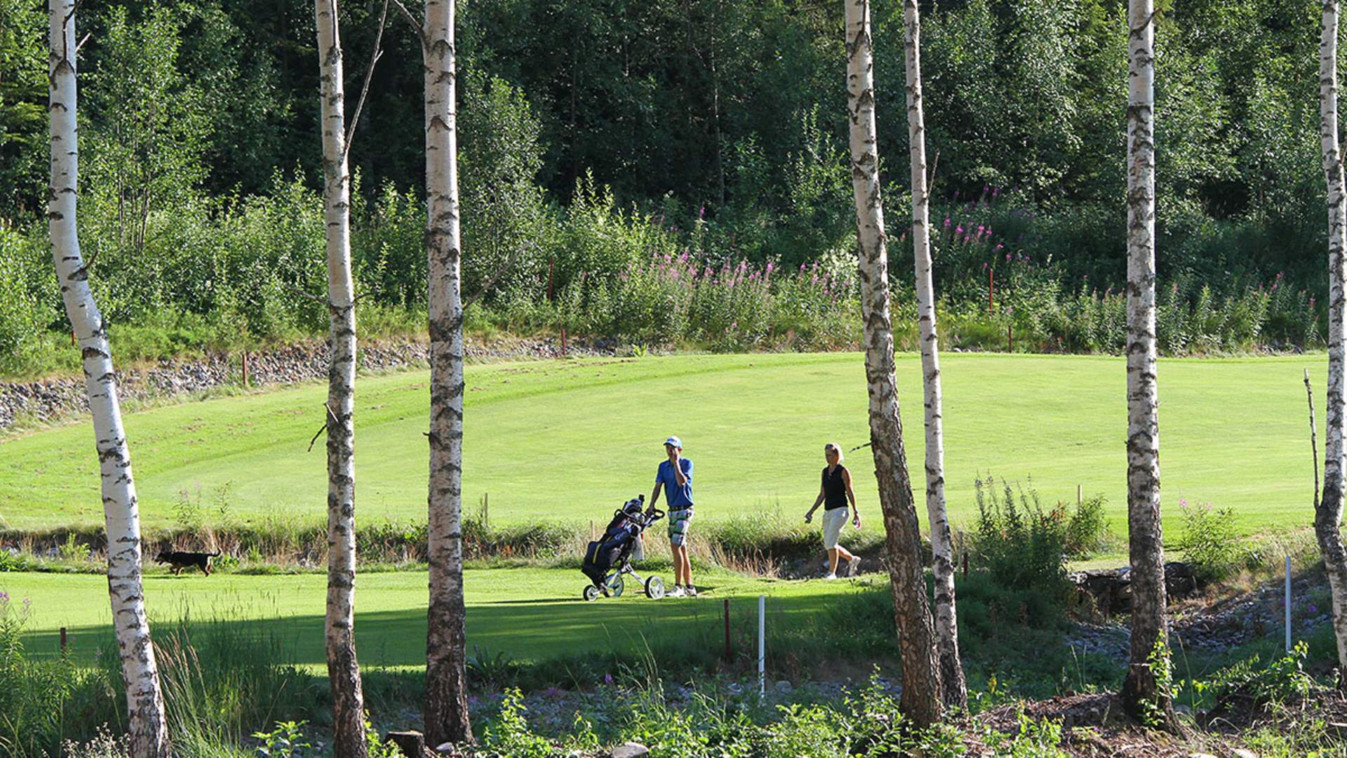 Valdres Golf
