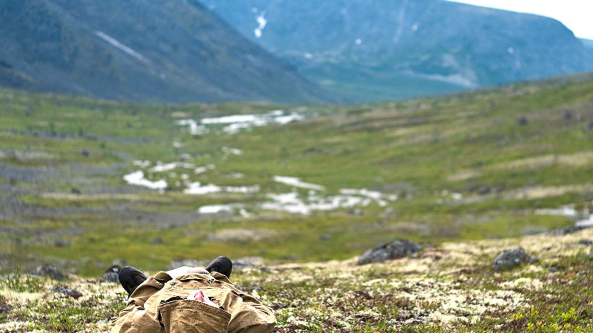 Hardangervidda sommer
