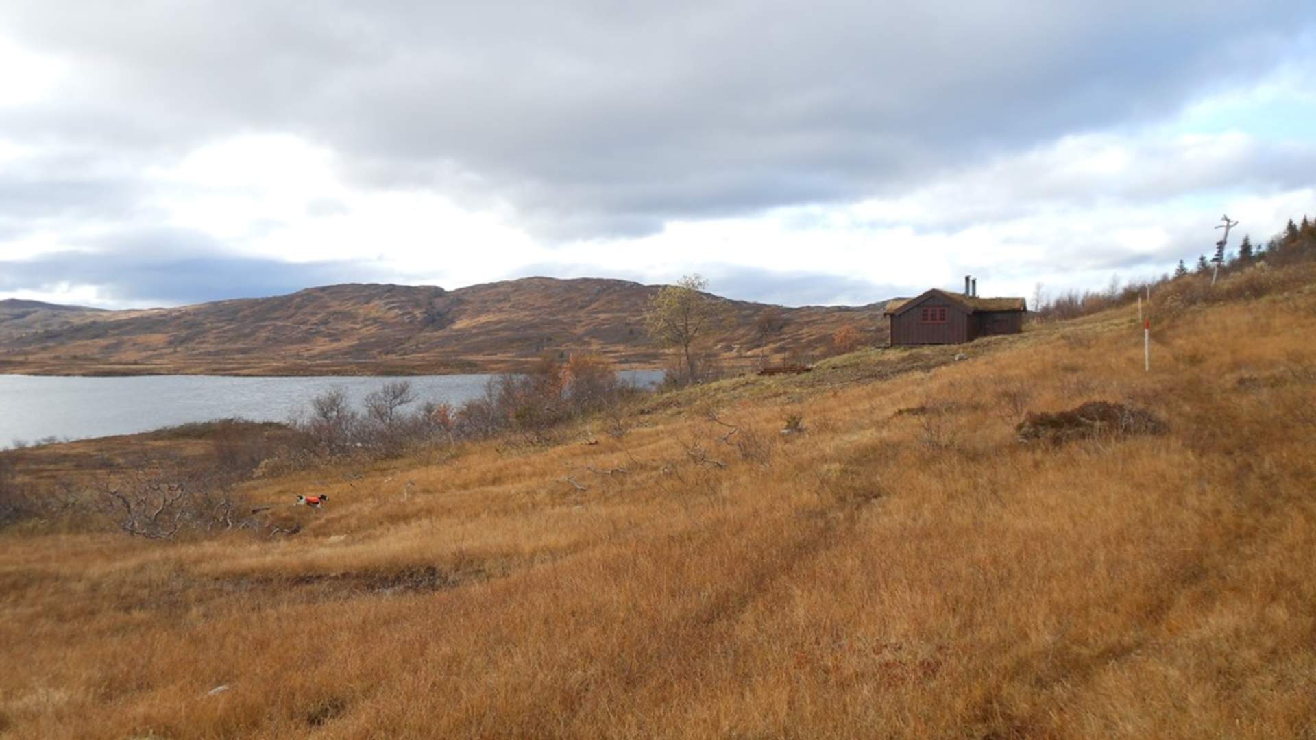 Lågvassbua, Steinkjer Kommuneskoger, Innherred
