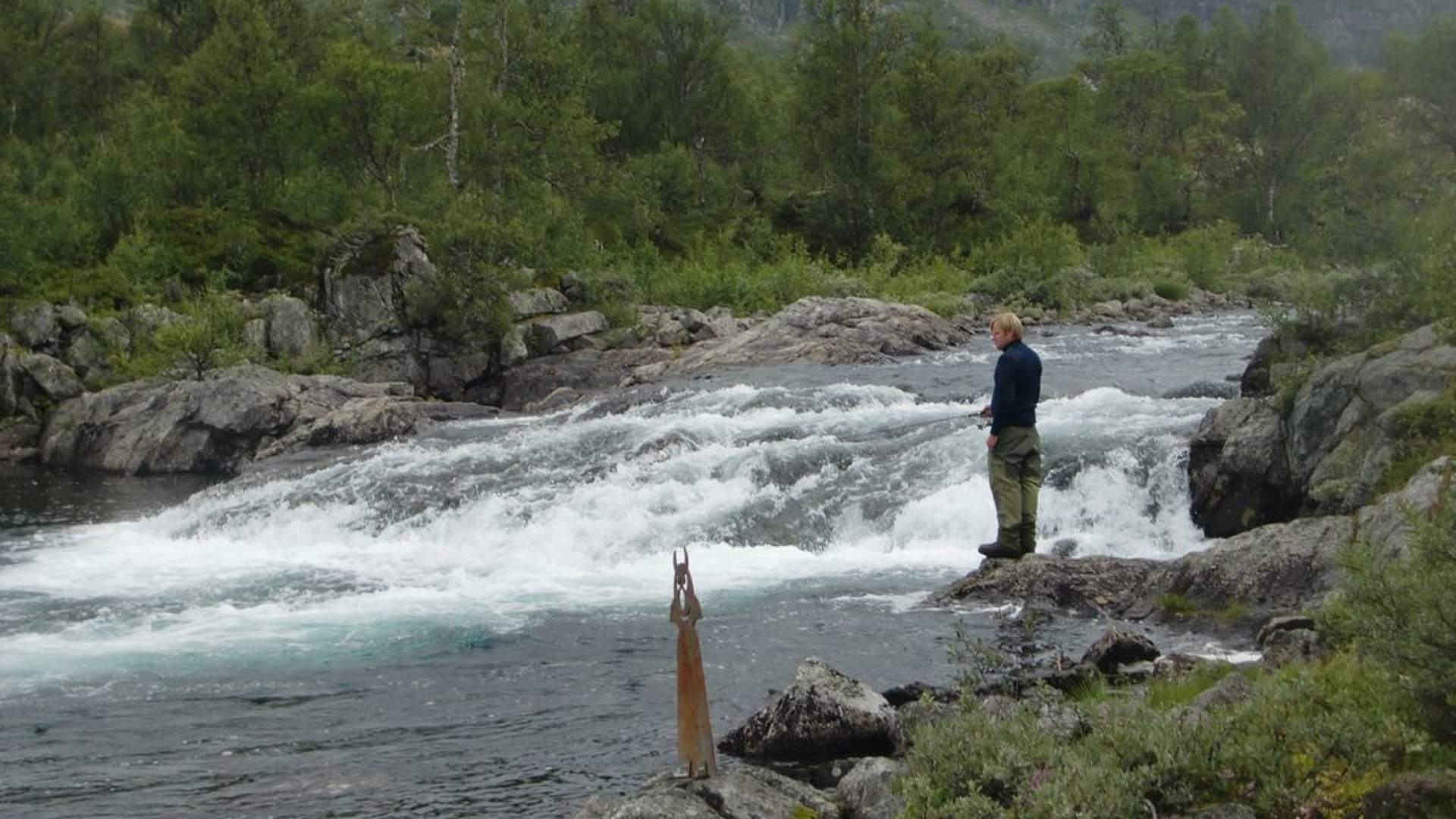 Vassvegen fiske