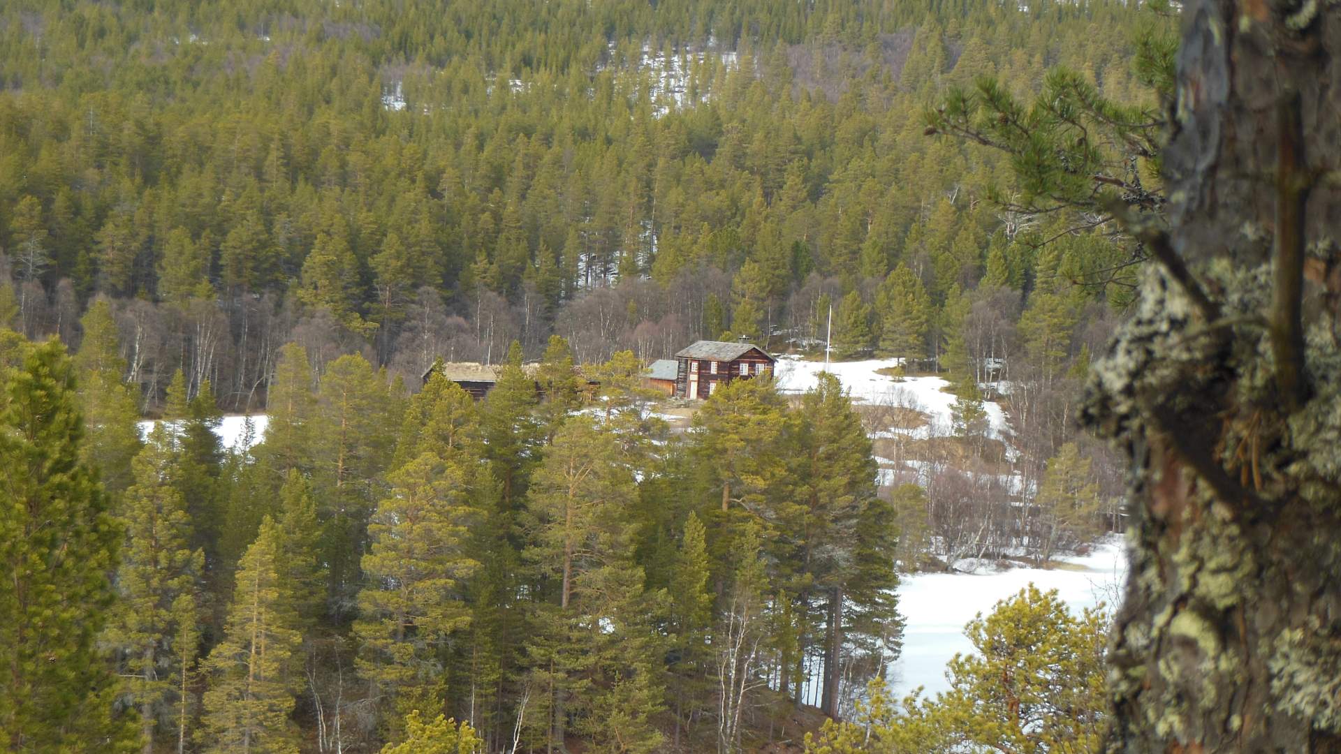 Gården