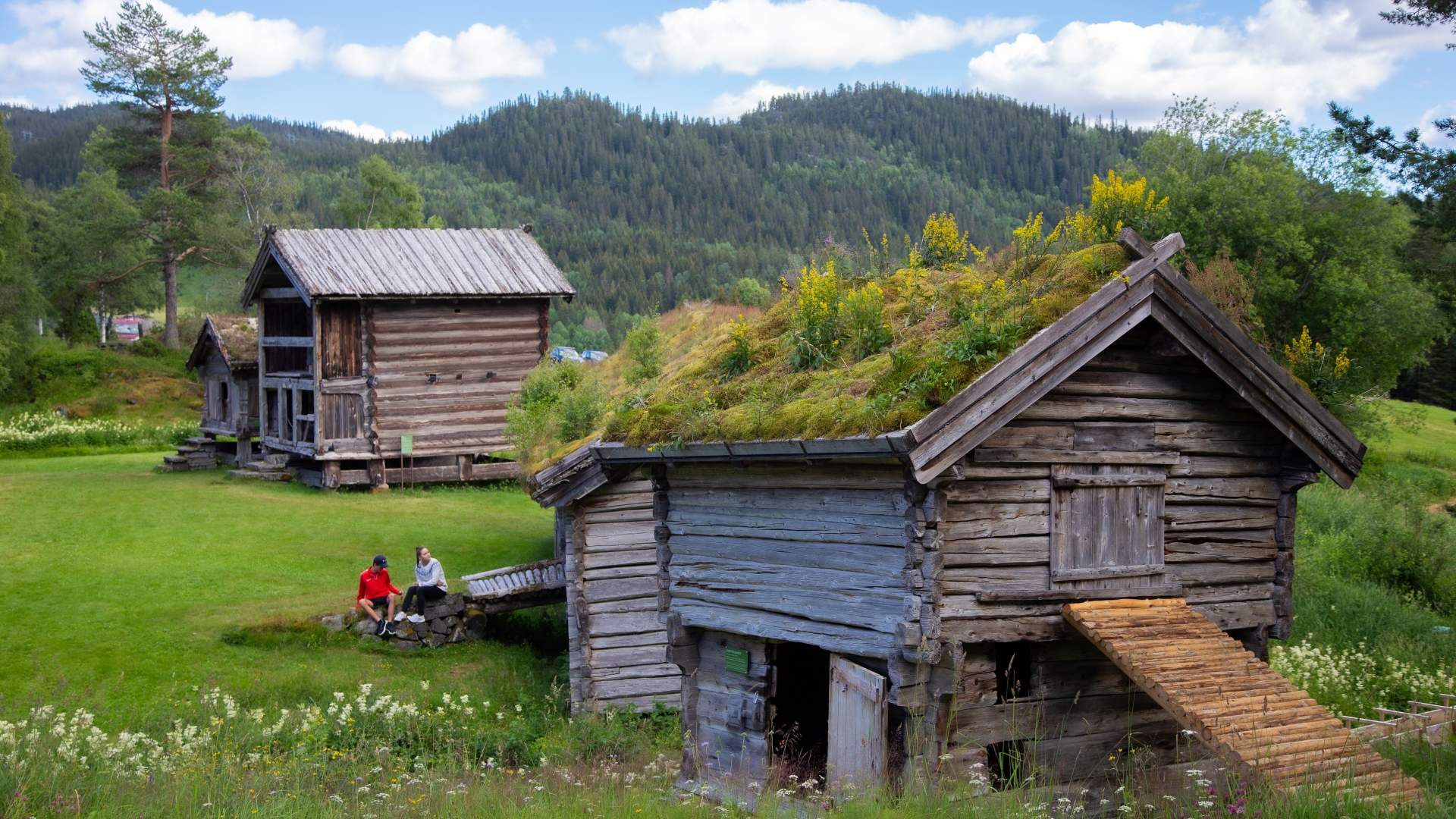 Vest-Telemark museum Eidsborg