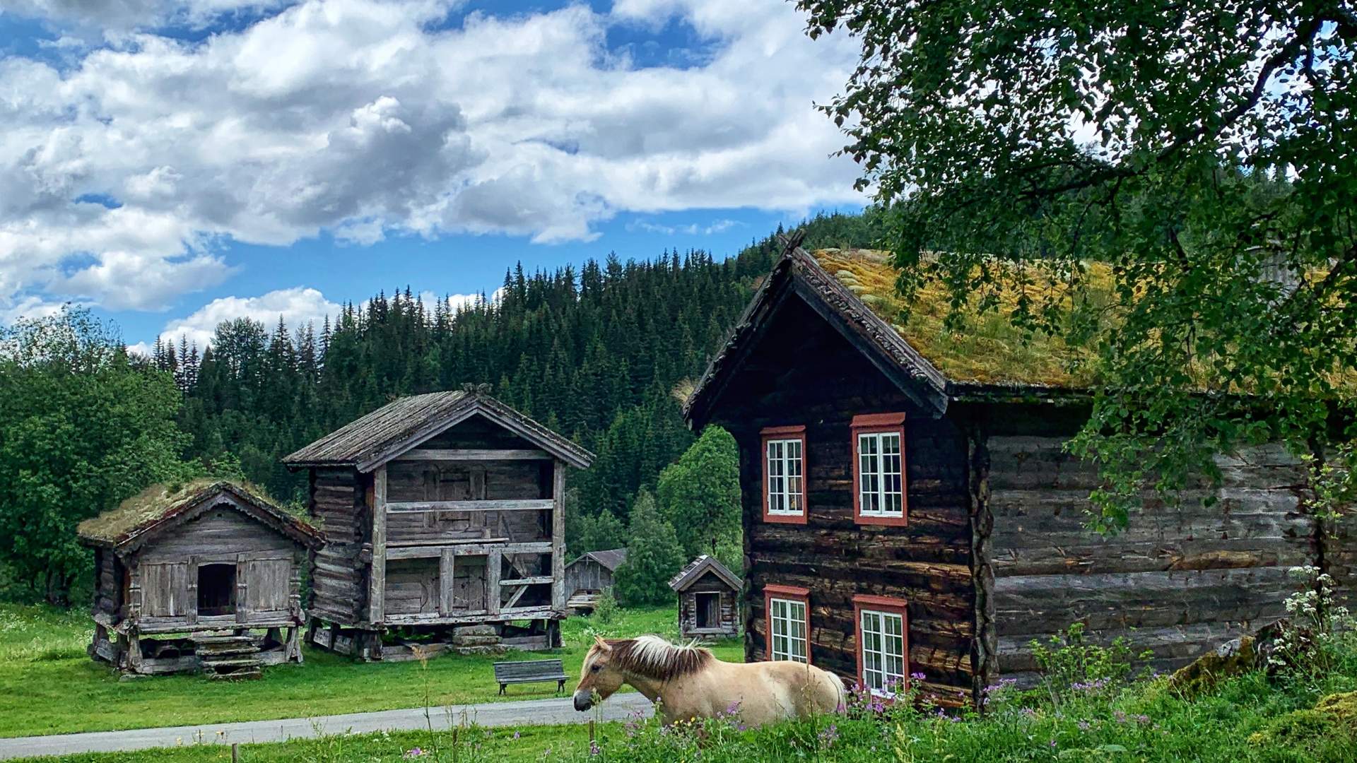 Eidsborg bygdetun med hest