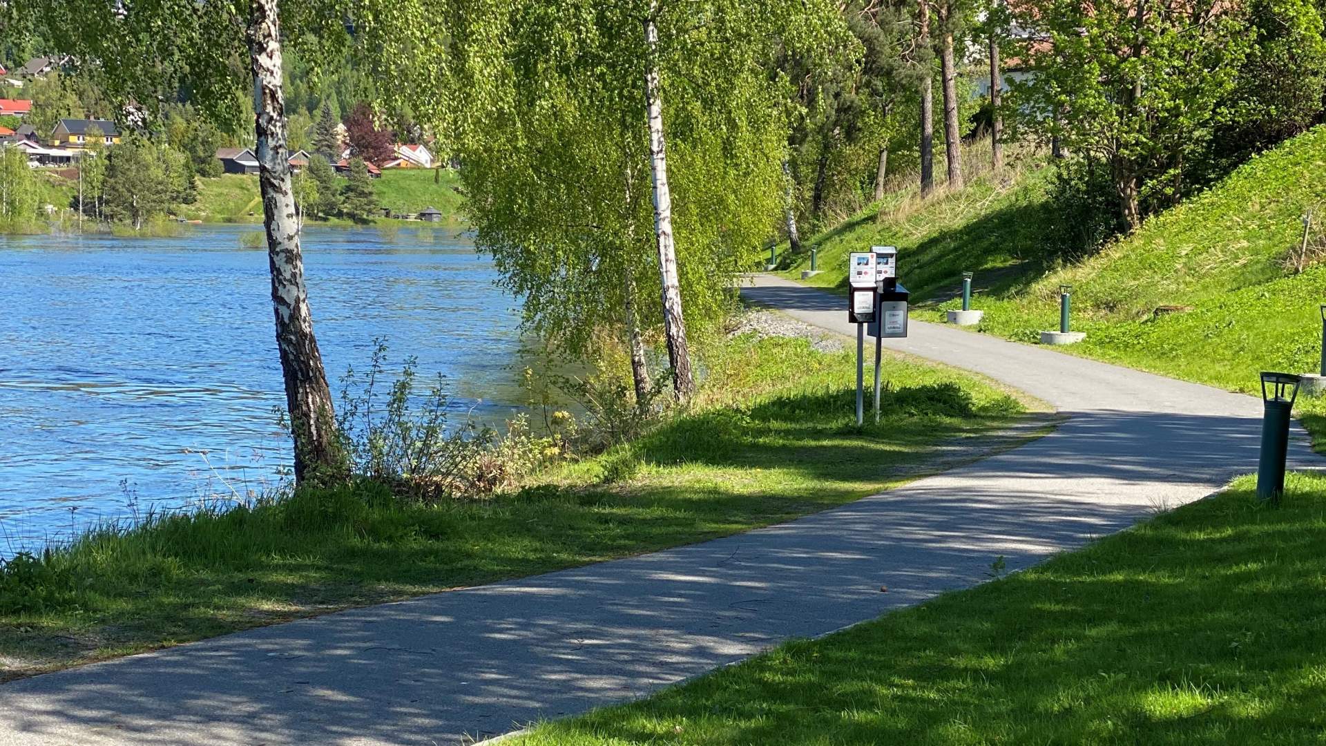 Elvelangs Hønefoss_01