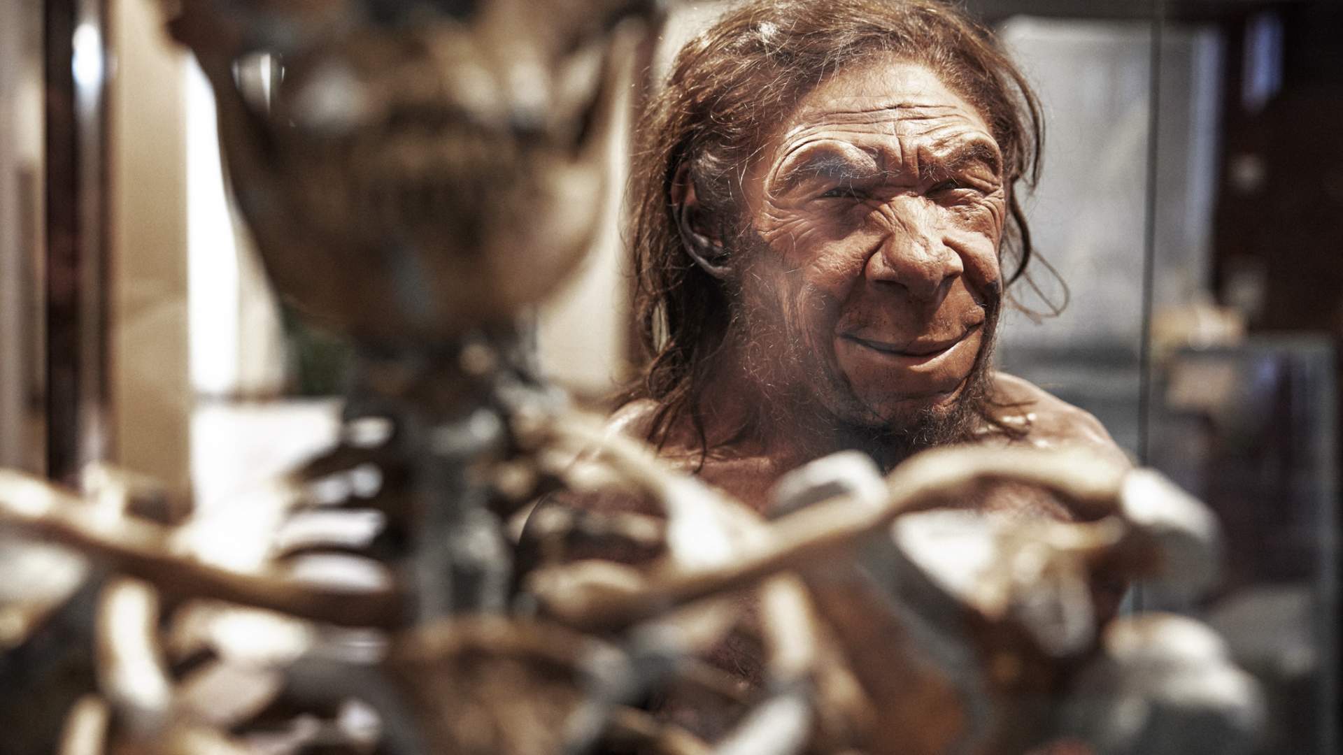 Naturhistorisk museum - Neandertaler