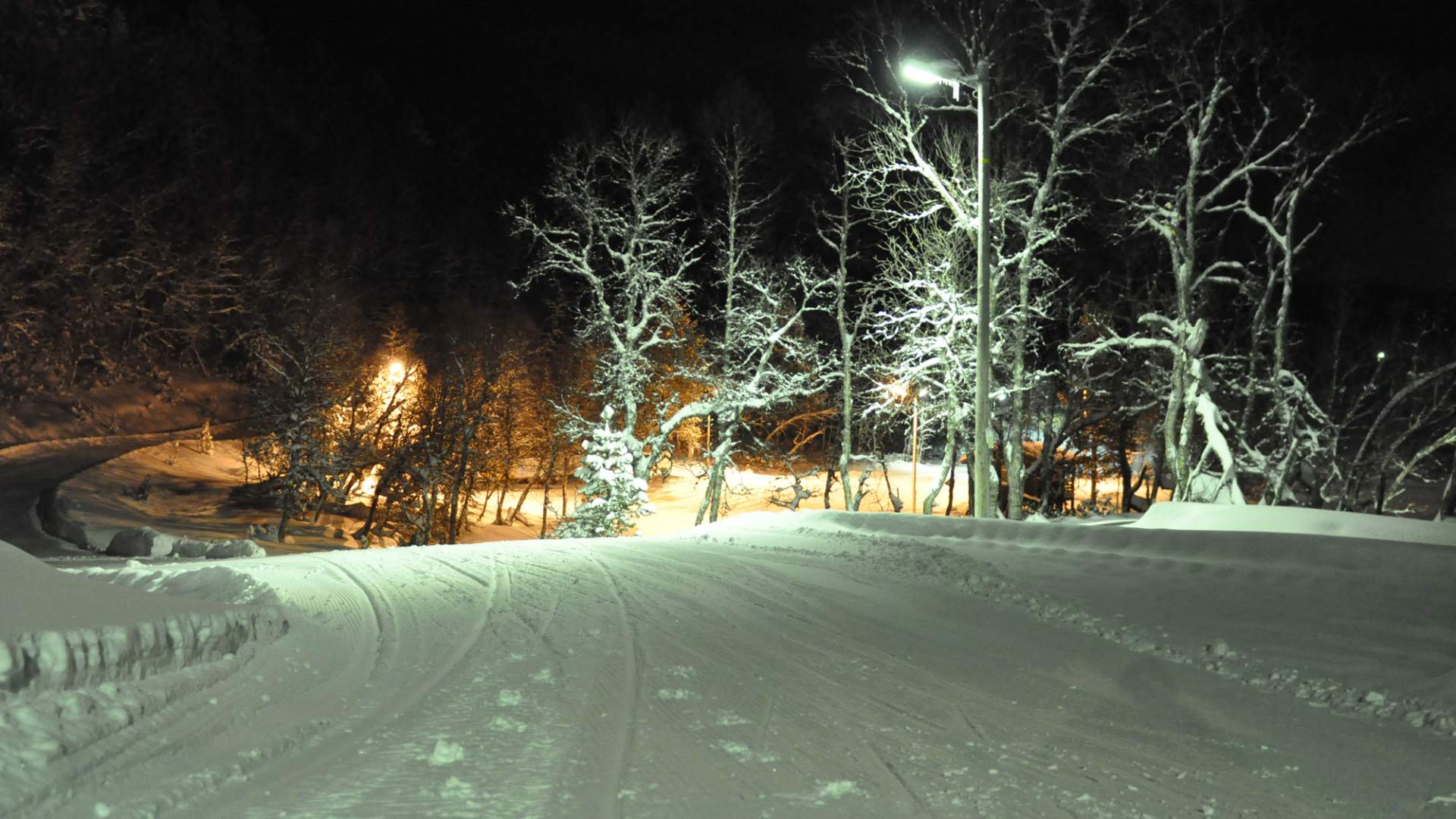 Seimsåsen Skisenter, Årdal