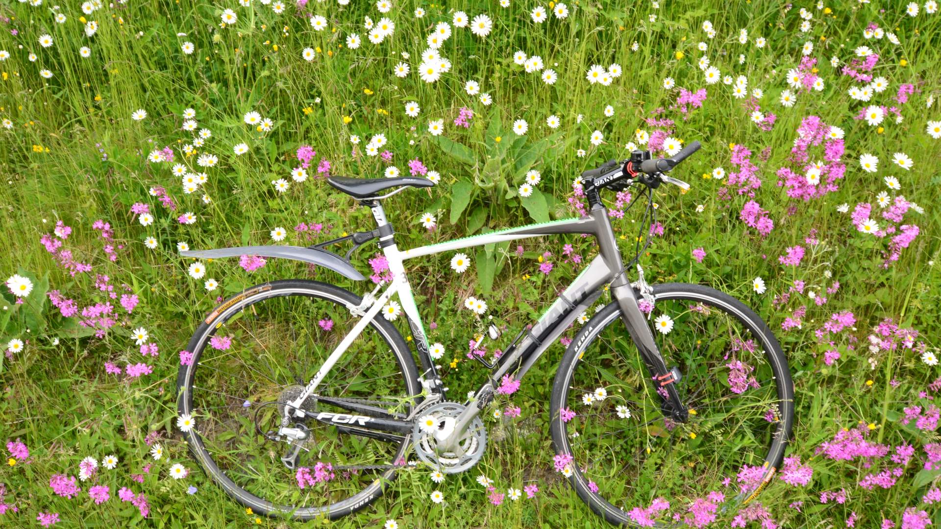 Bike Balestrand