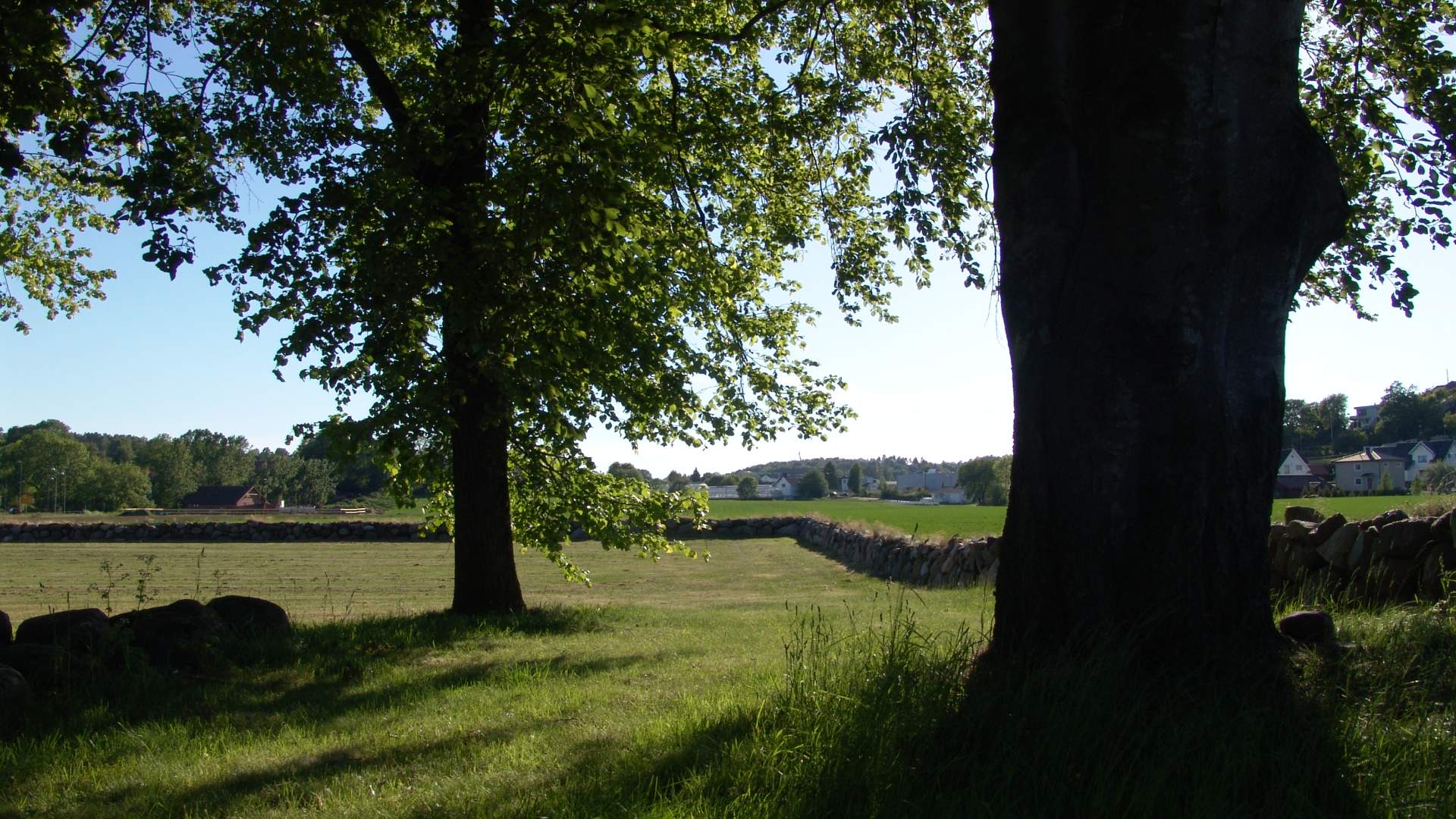 Gokstadhaugen