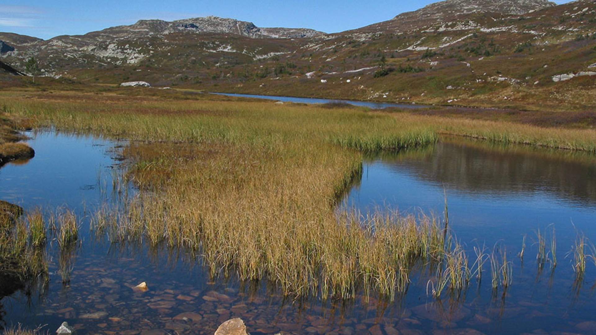 Røksbu og Jøronnatten