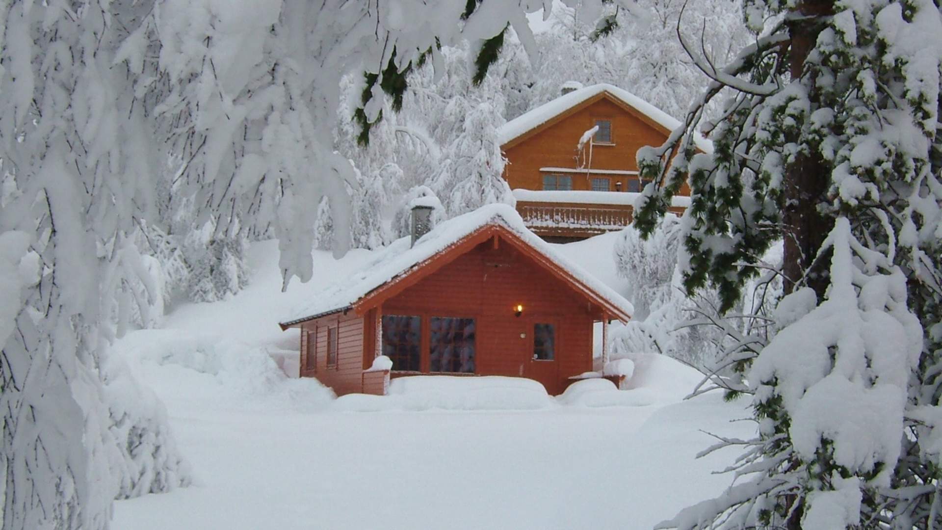 Haugen Hytteutleie og Camping