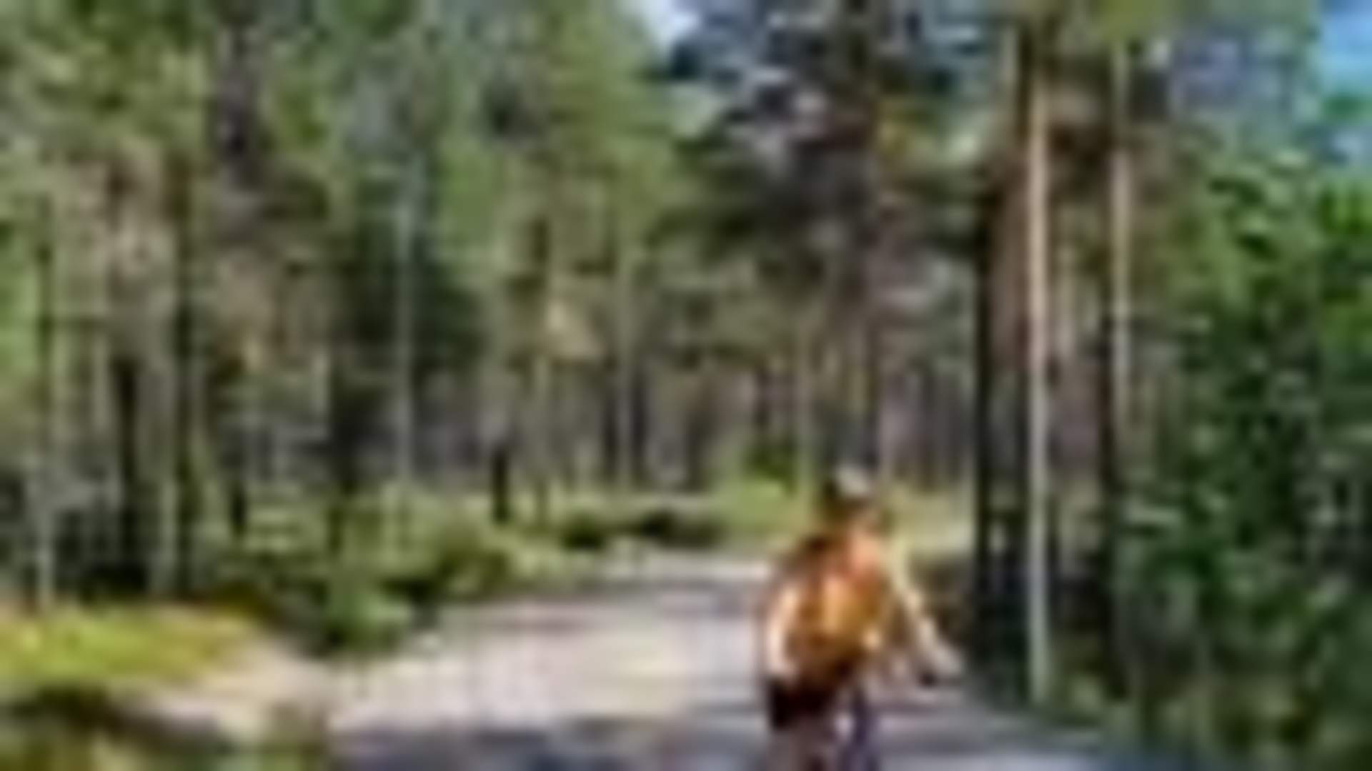 Villmarksruta - Svullrya