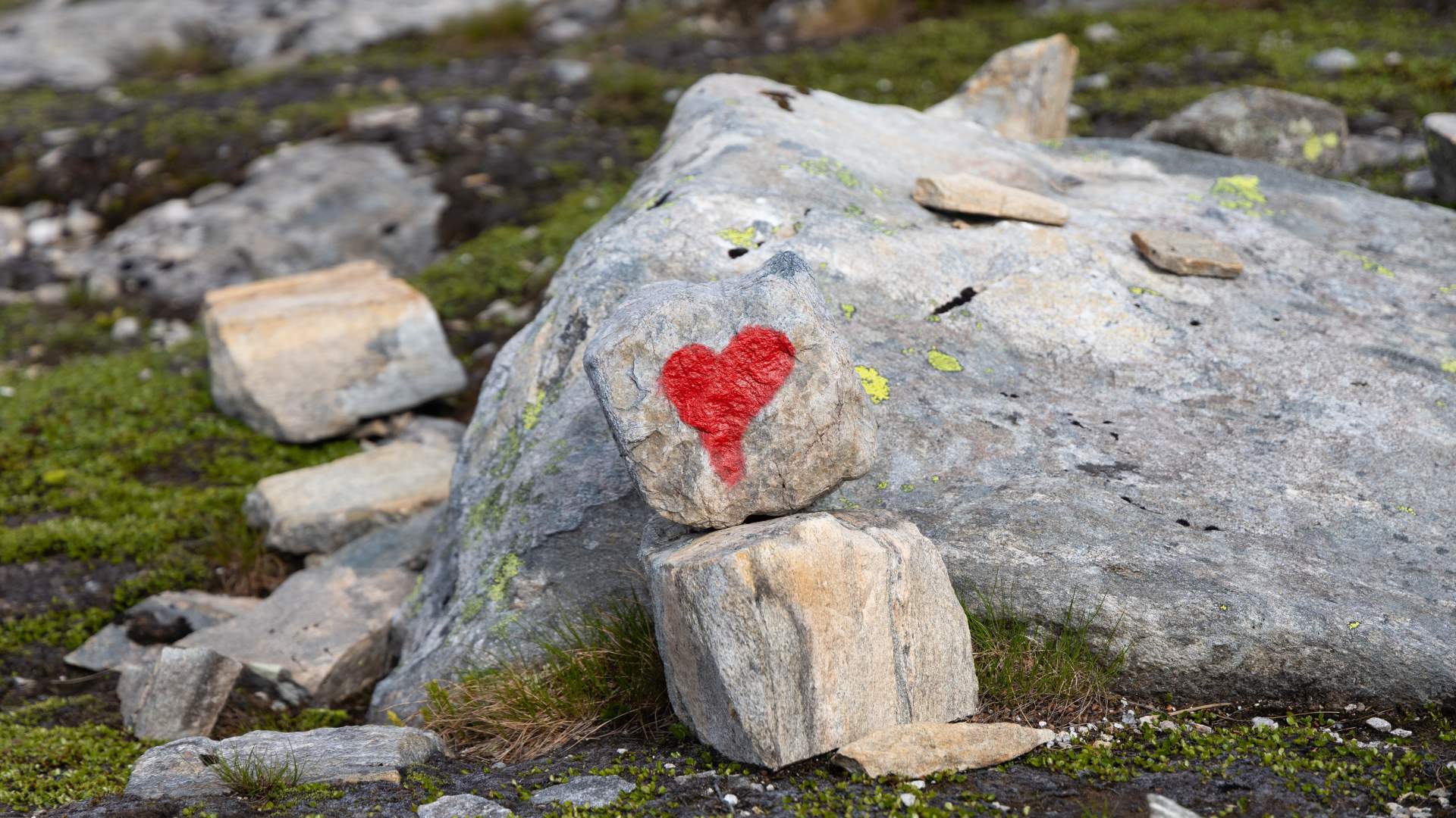 Fellestur til Skavlabu med Nordhordland Turlag, juli 2024-13 (1)