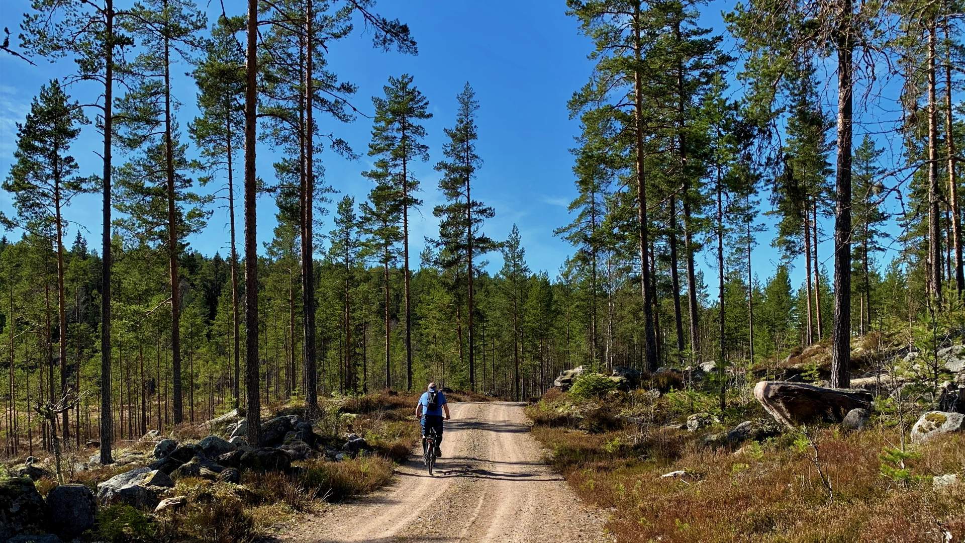 Finnskogen Nord - sykling