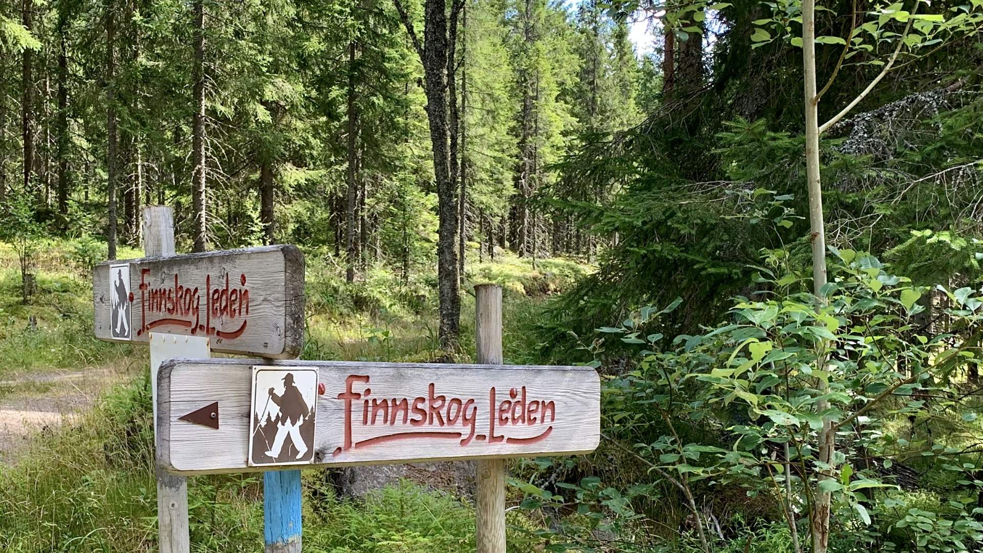 Finnskogleden - Finnskogen Nord