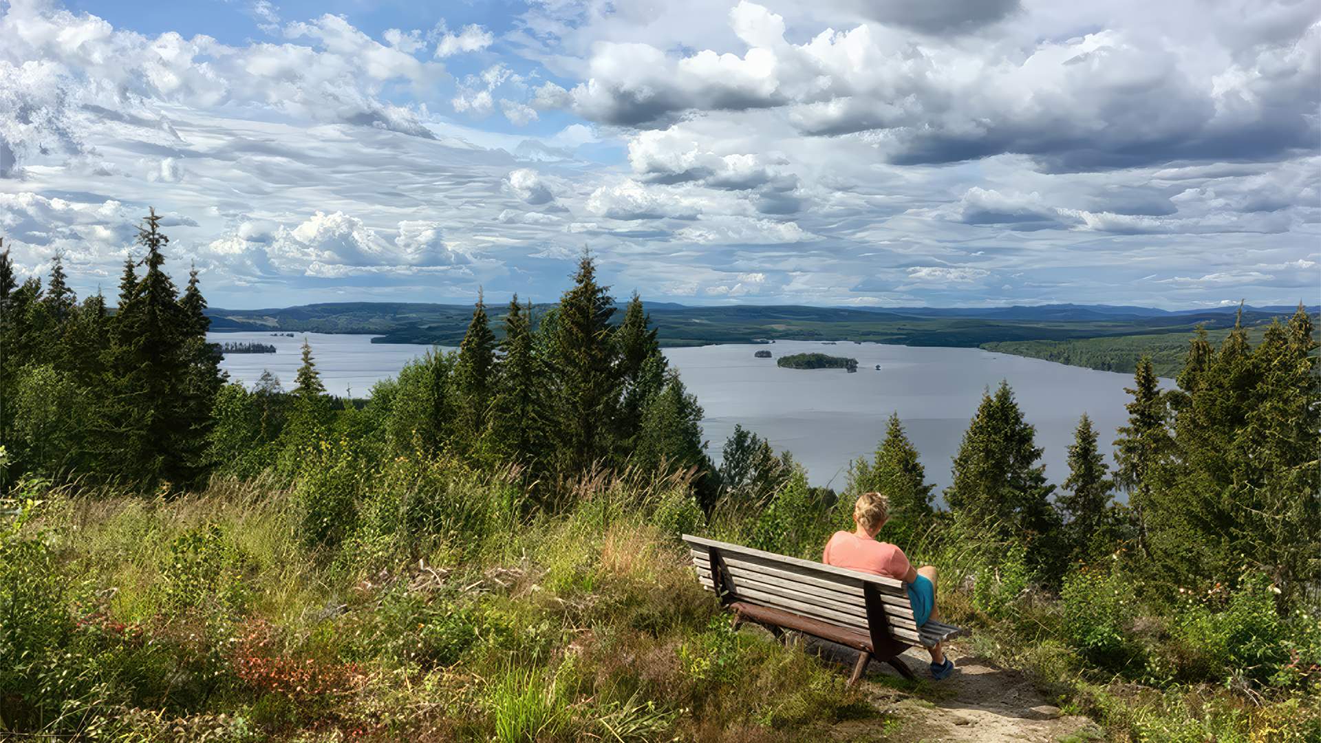 Finnskogleden, Finnskogtoppen 5 km unna