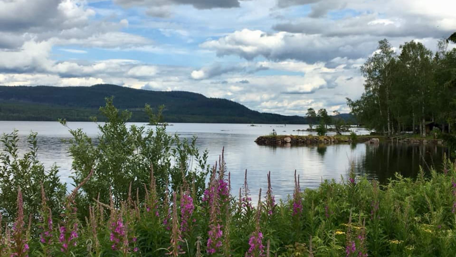 Finnskogleden, Røgden