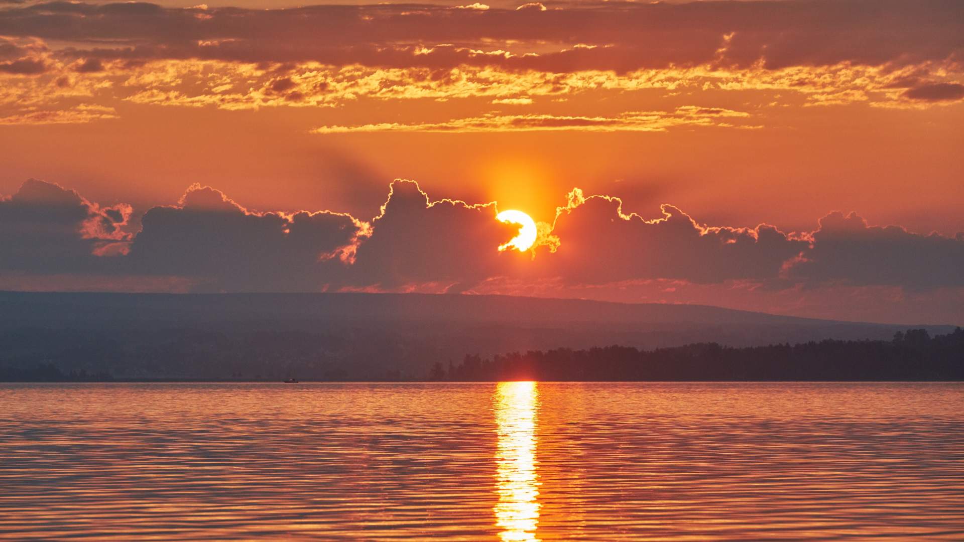 Fiske i Mjøsa