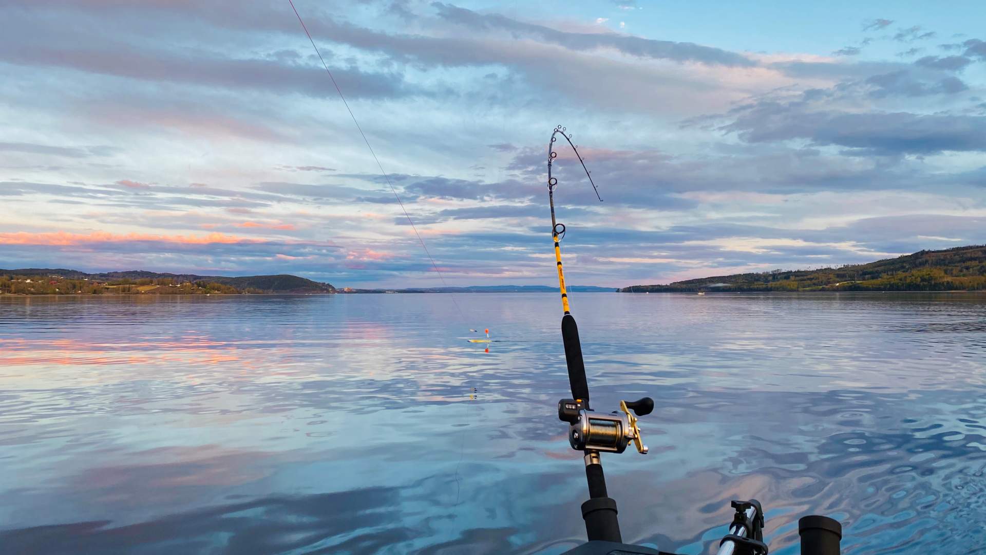 Fiske i Mjøsa