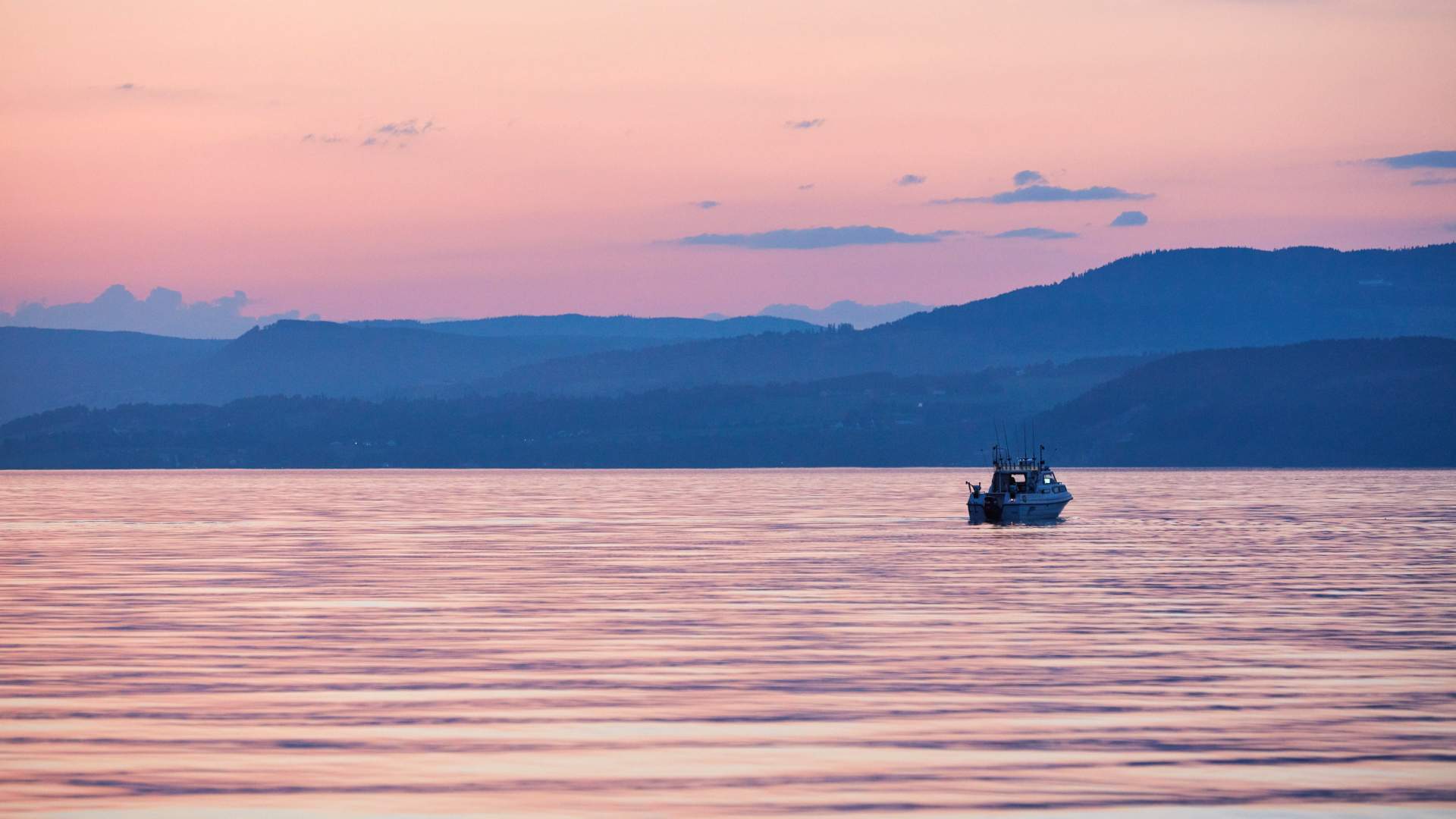 Fiske i Mjøsa
