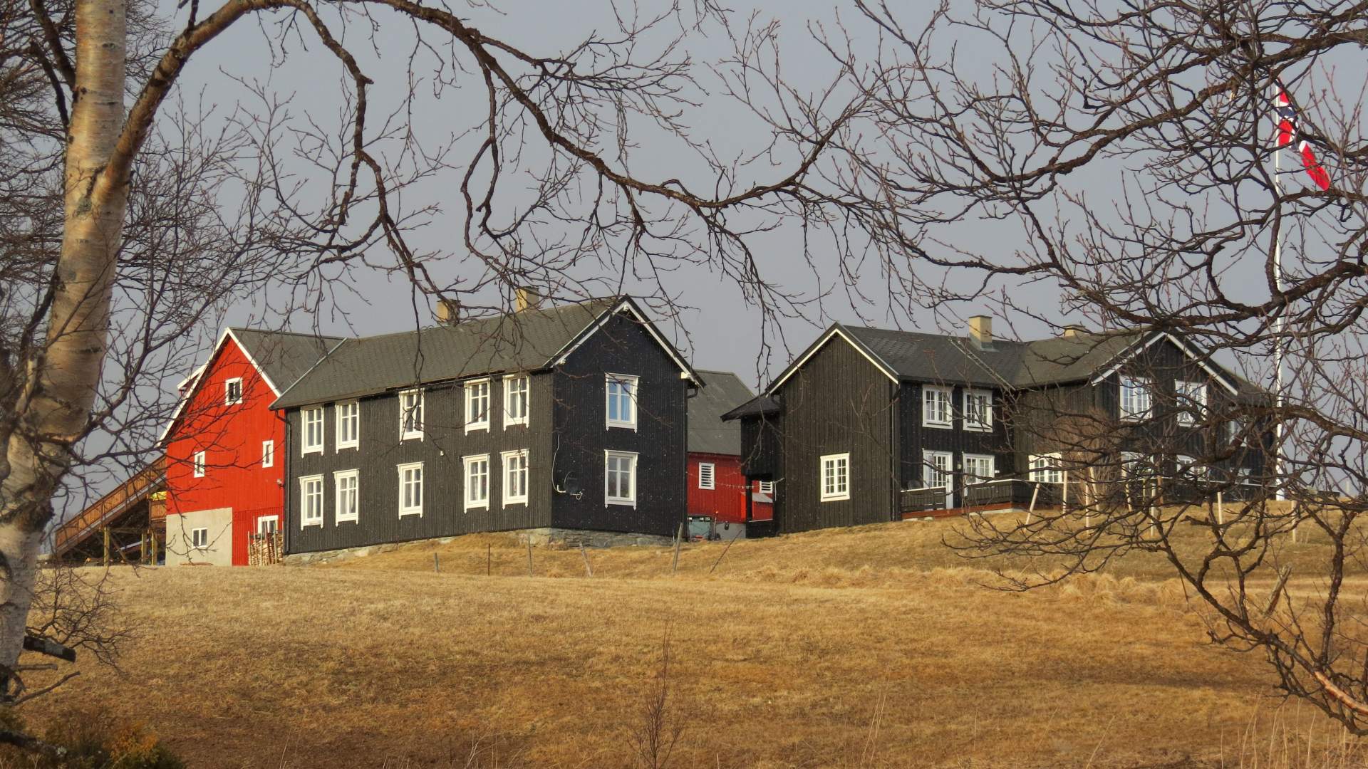 Fjøsakademiet
