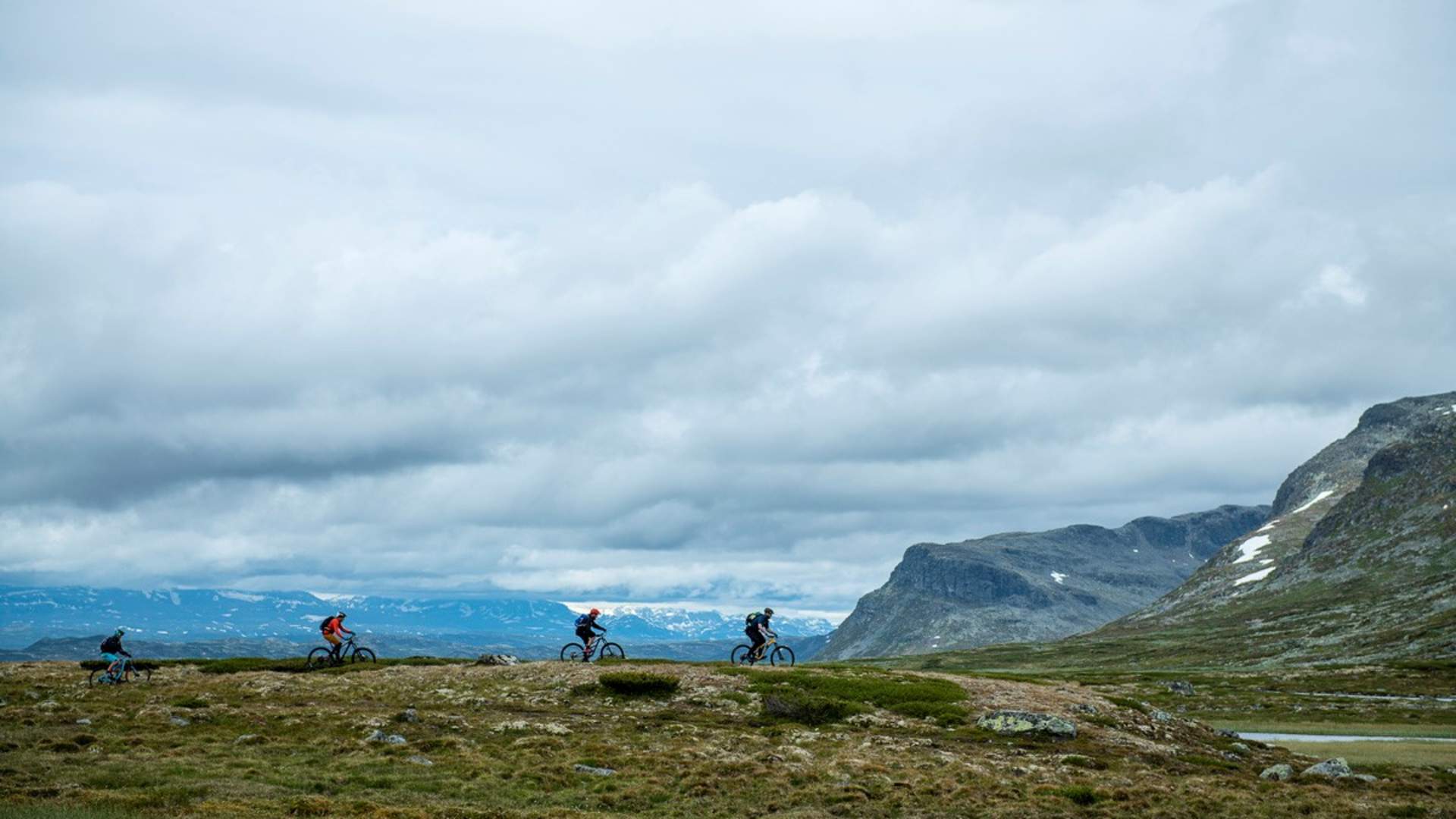 Fjellsykling