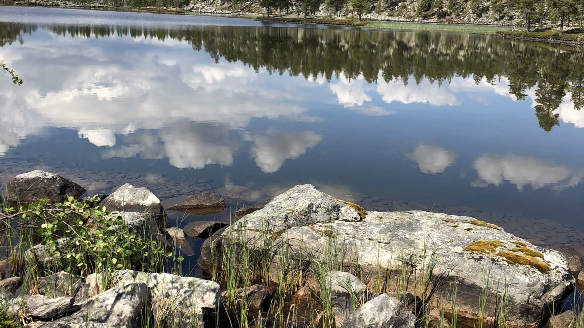 Fjellvann Roasten
