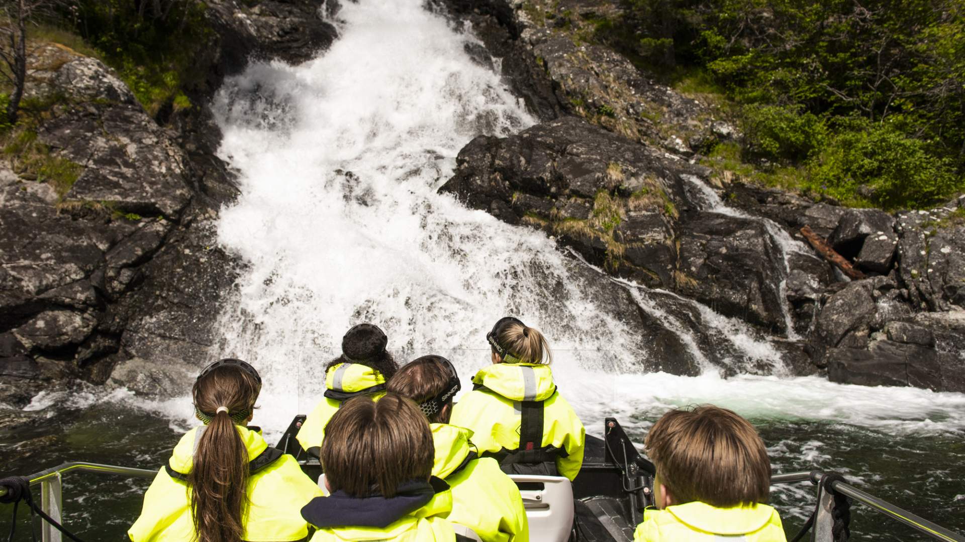 FjordSafari