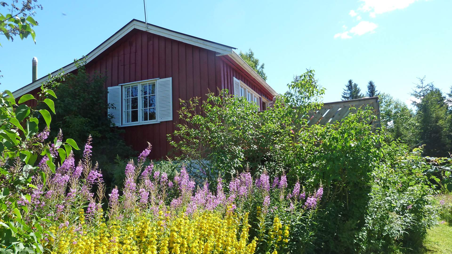 Fjordtitt hytte ved Einafjorden (3)