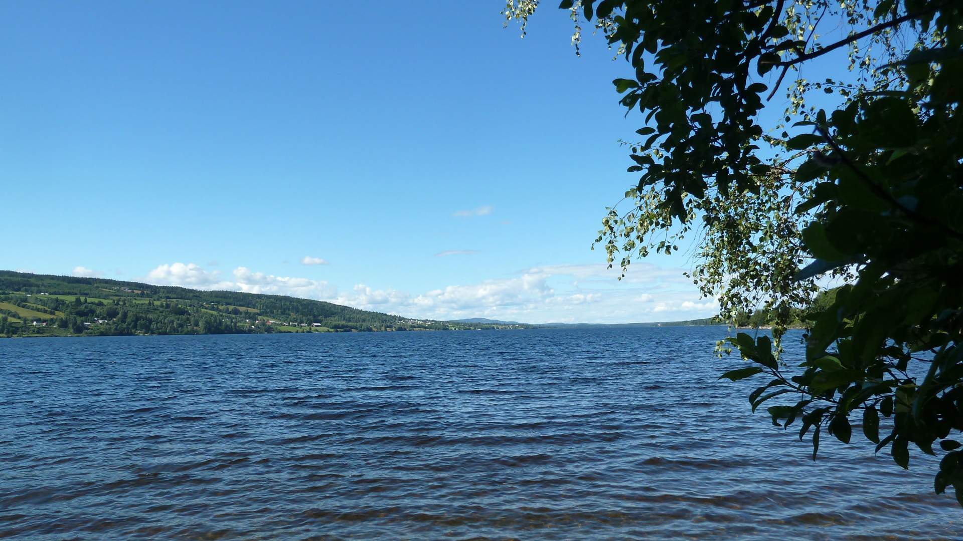 Fjordtitt hytte ved Einafjorden (6)