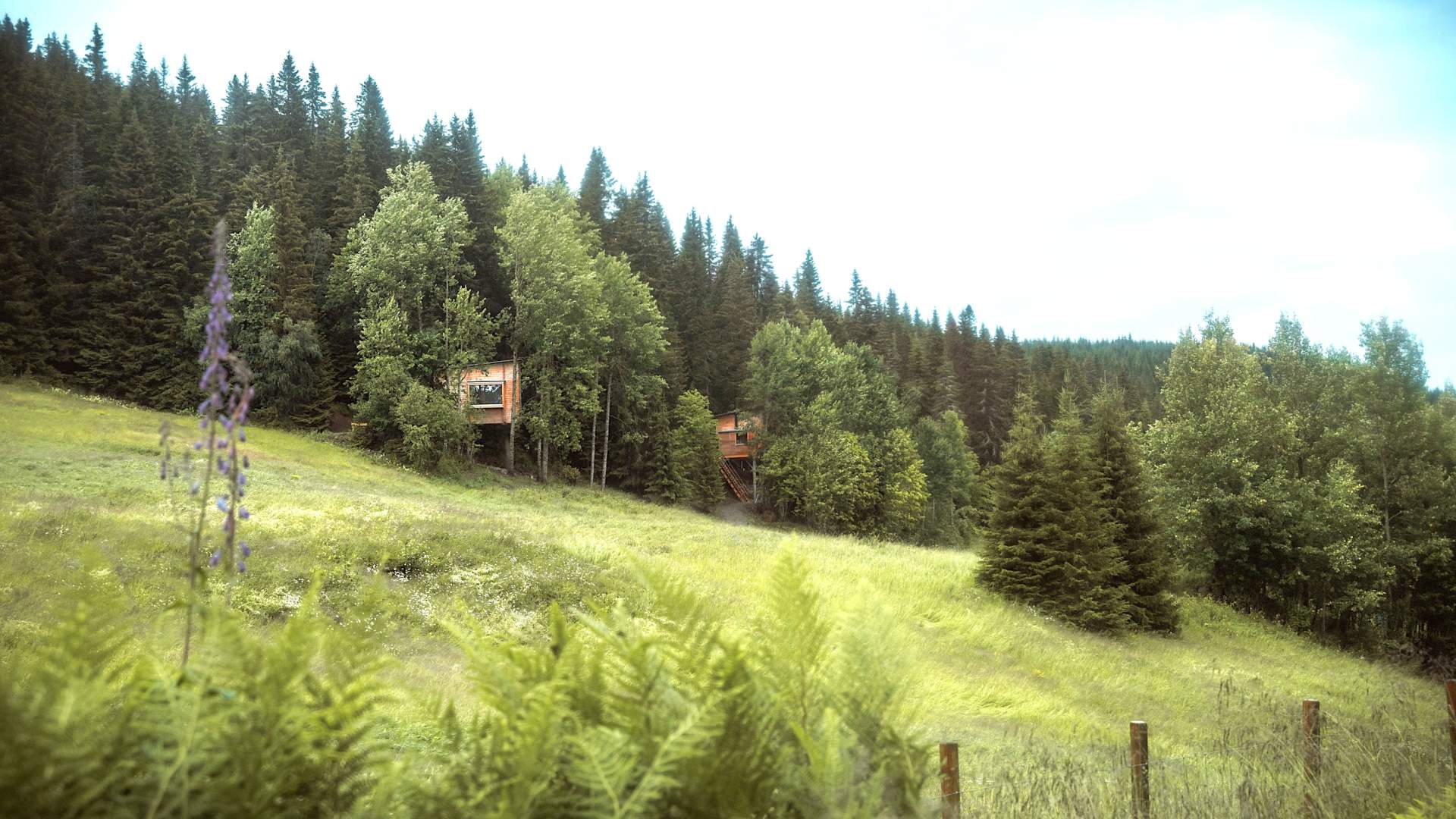 Foto Viggo Lundberg. eidsvolltretopphytter-5