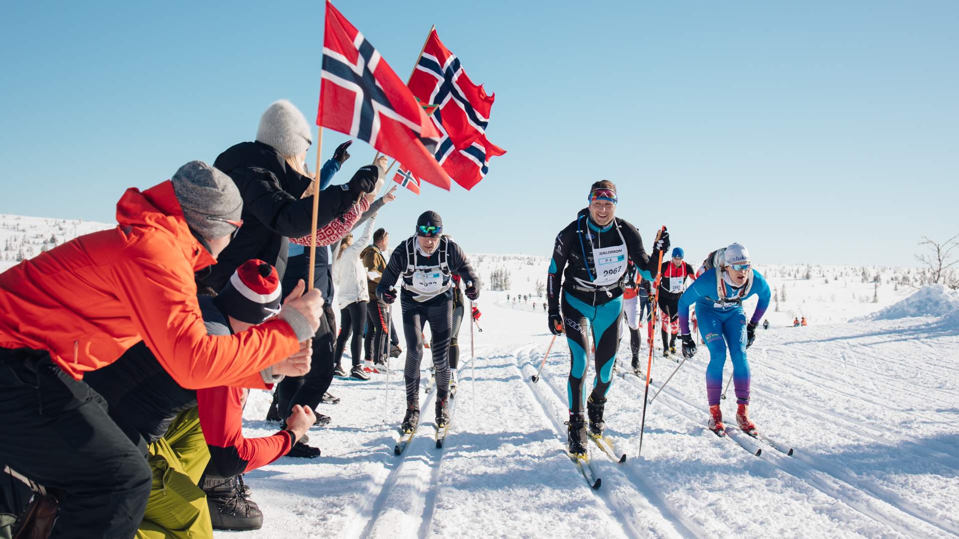 Birkebeinerrennet 53 km