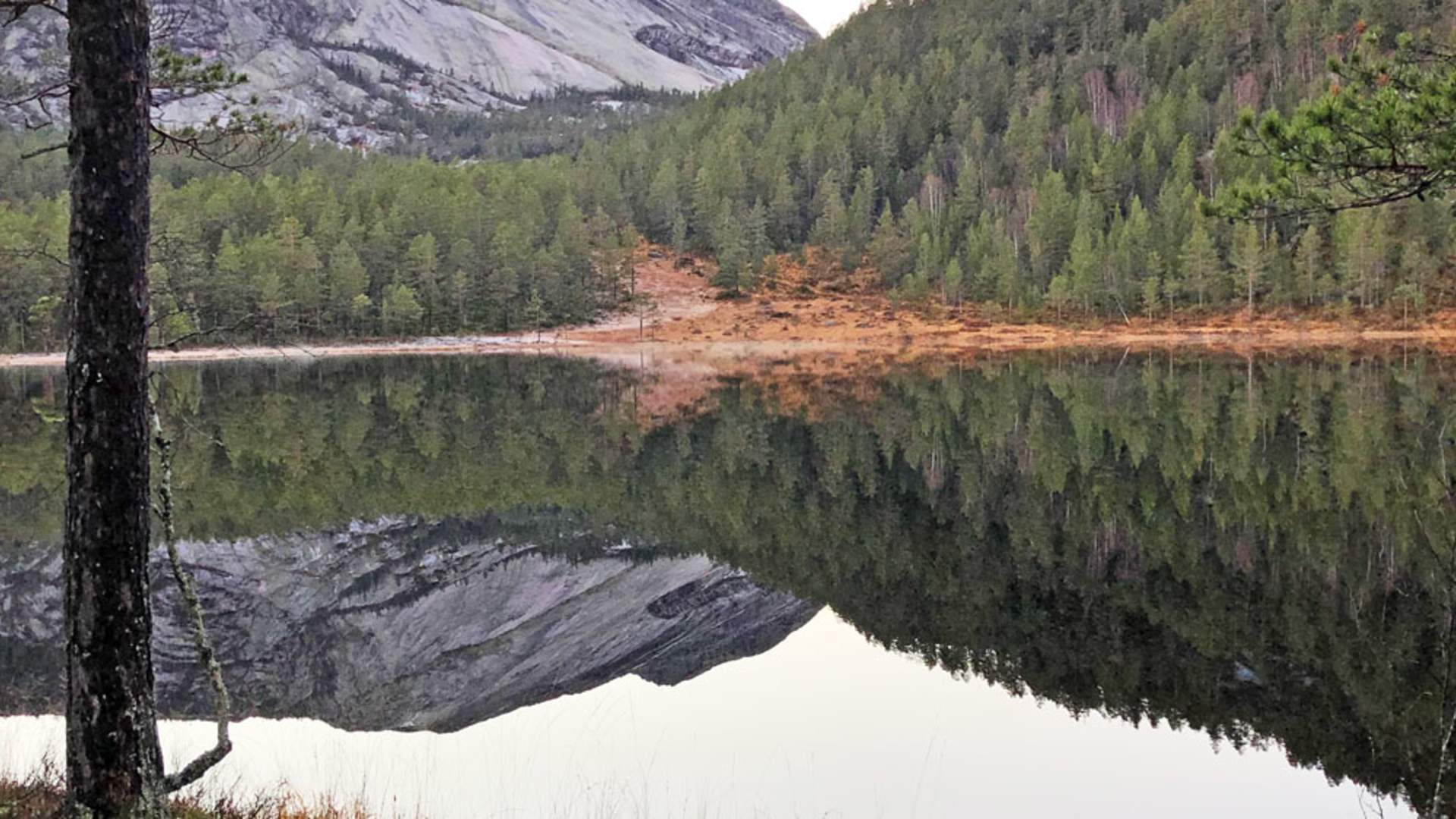 Frå-Presttjønn_CAasheim_web