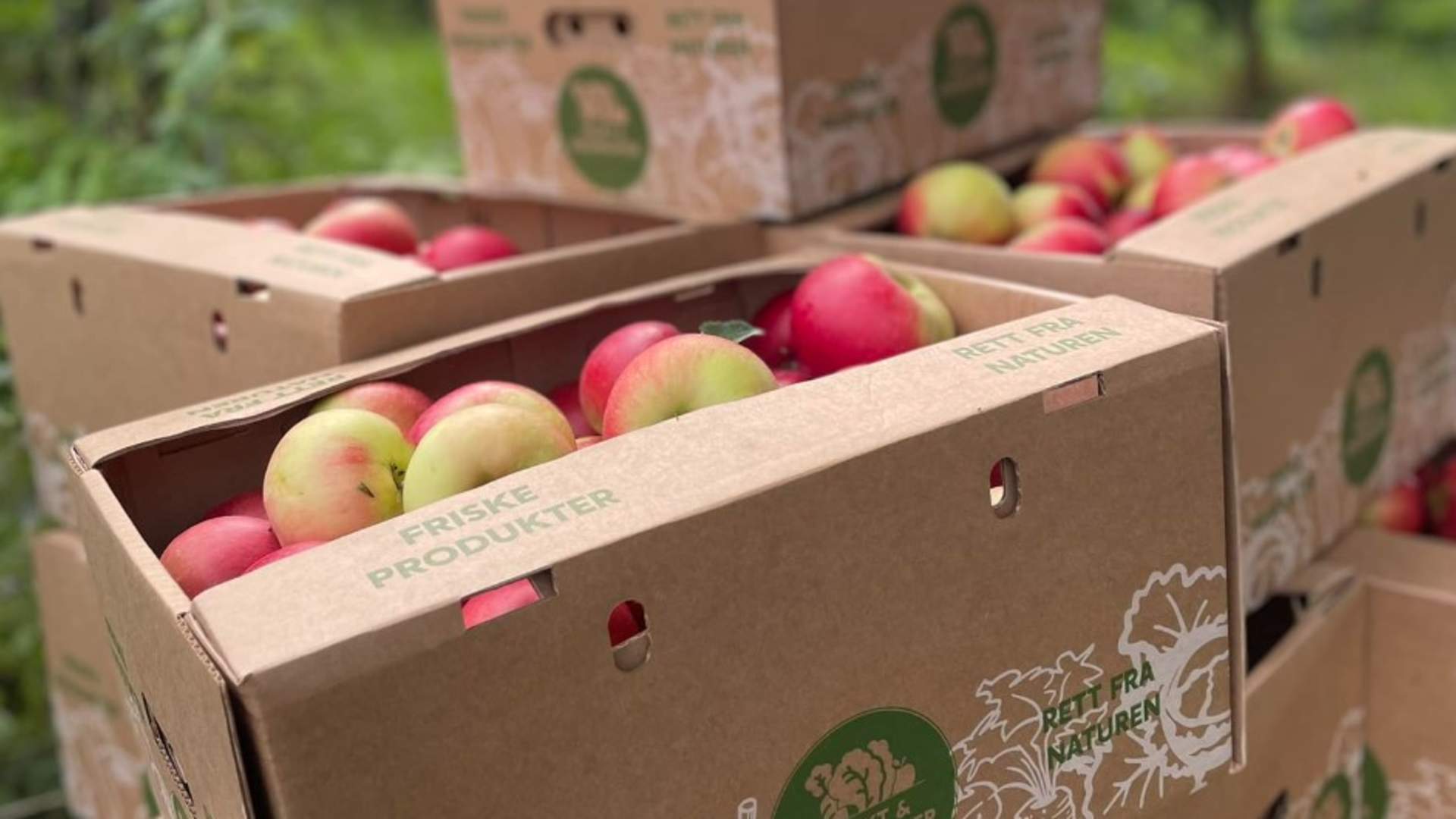 Frukt på Amble Gård