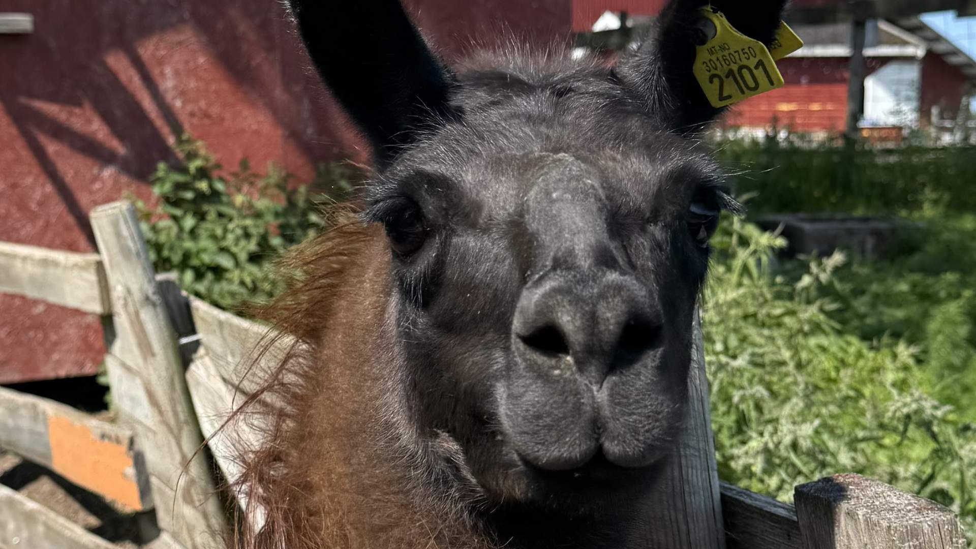 Vestre Knolden Gård