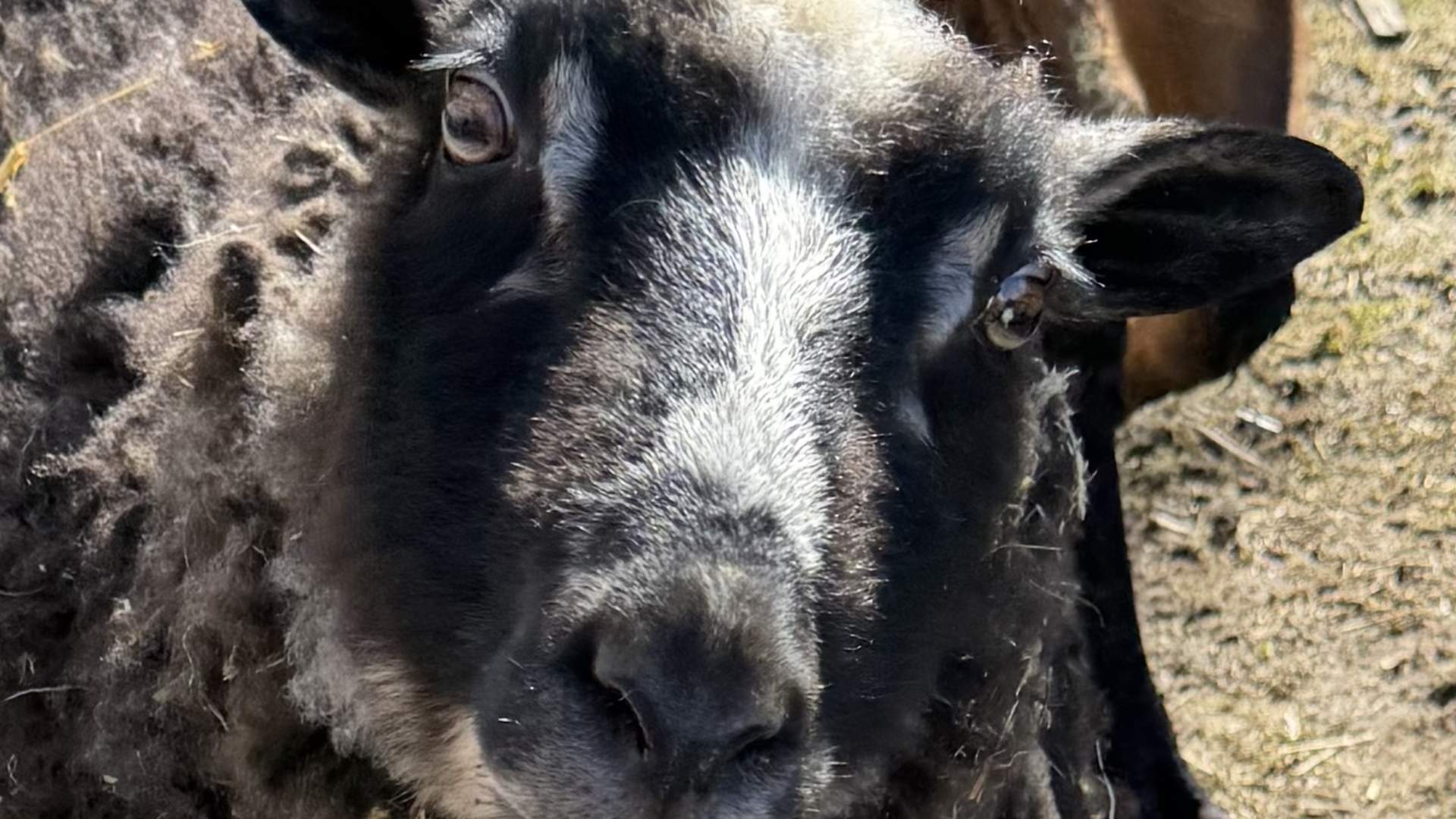 Vestre Knolden Gård