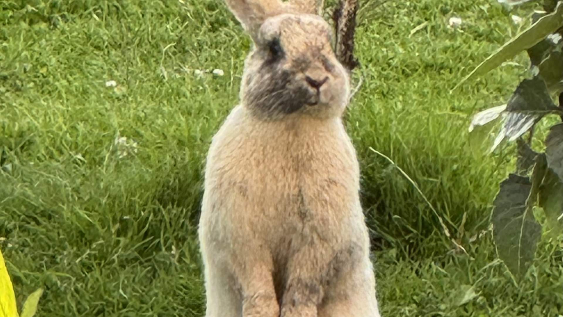 Vestre Knolden Gård