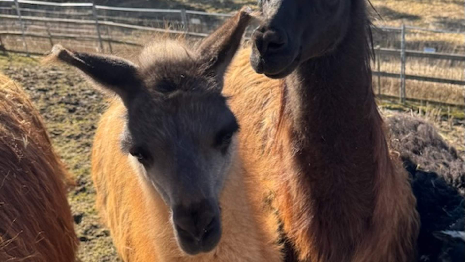 Vestre Knolden Gård