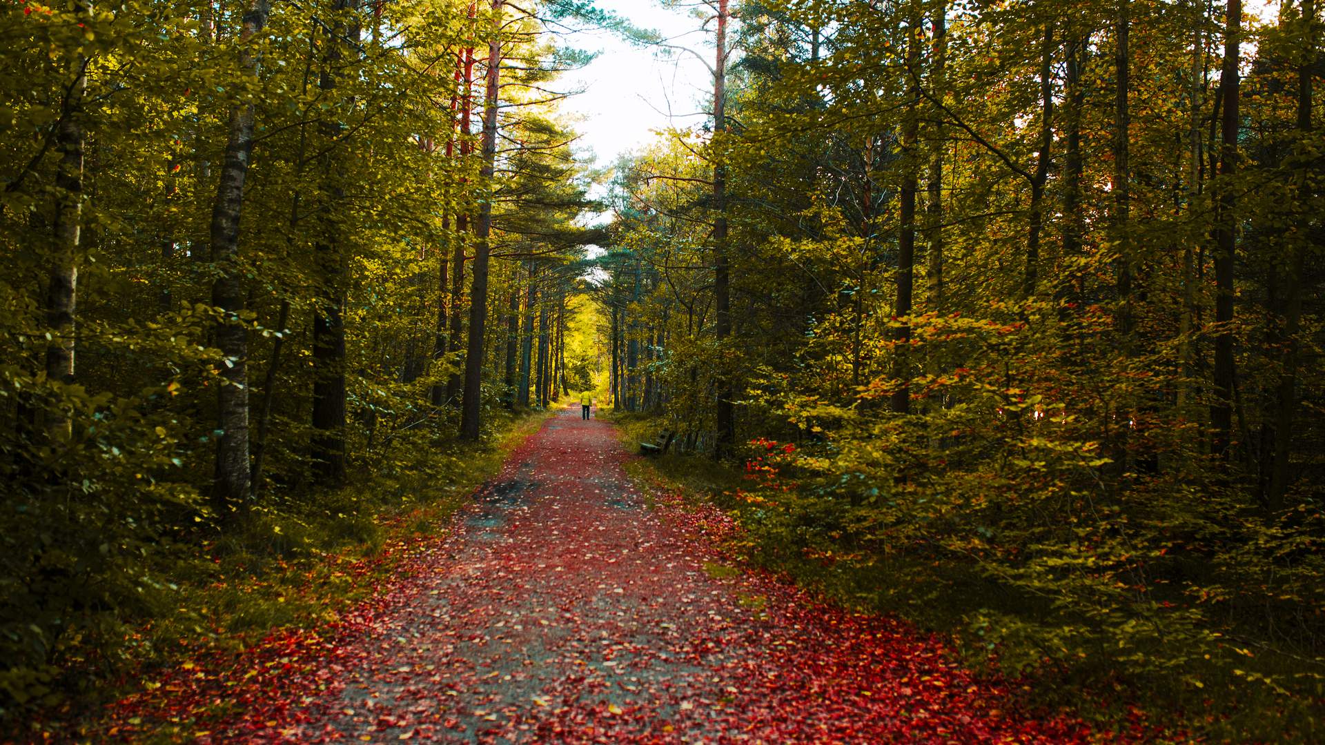 Furulunden_LIN_00766_Foto_Iselinn_Andersen