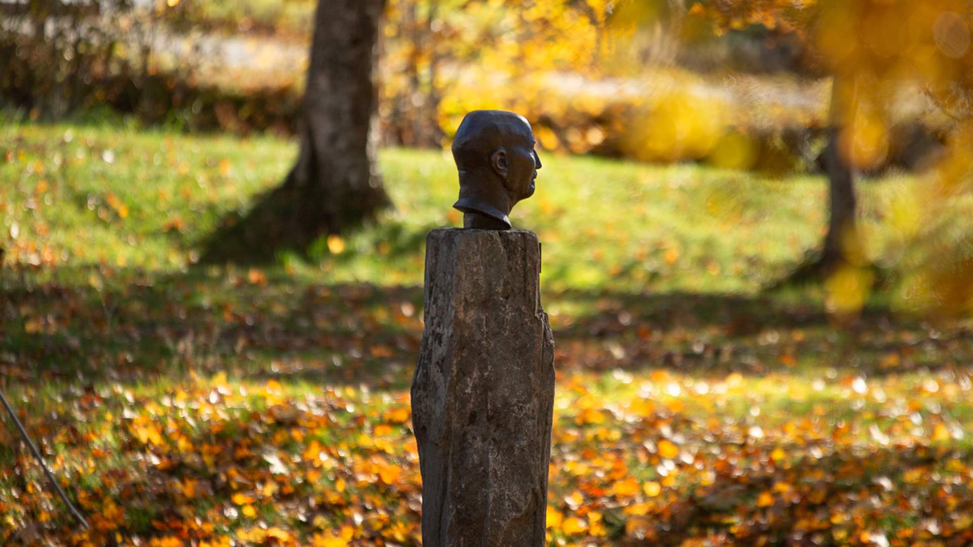 Fyresdal_Høst_Kristine Slyngstad.010_1500x1000