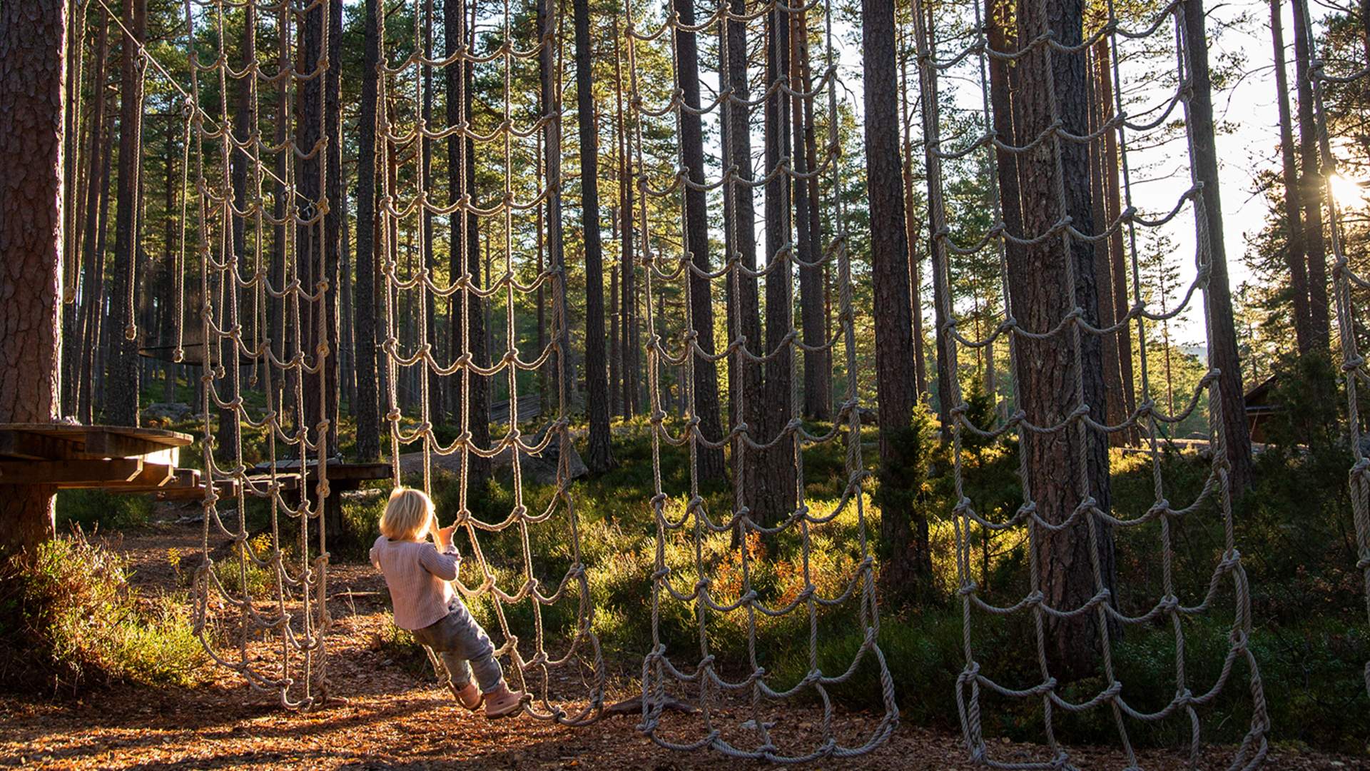 Fyresdal_Høst_Kristine Slyngstad.020