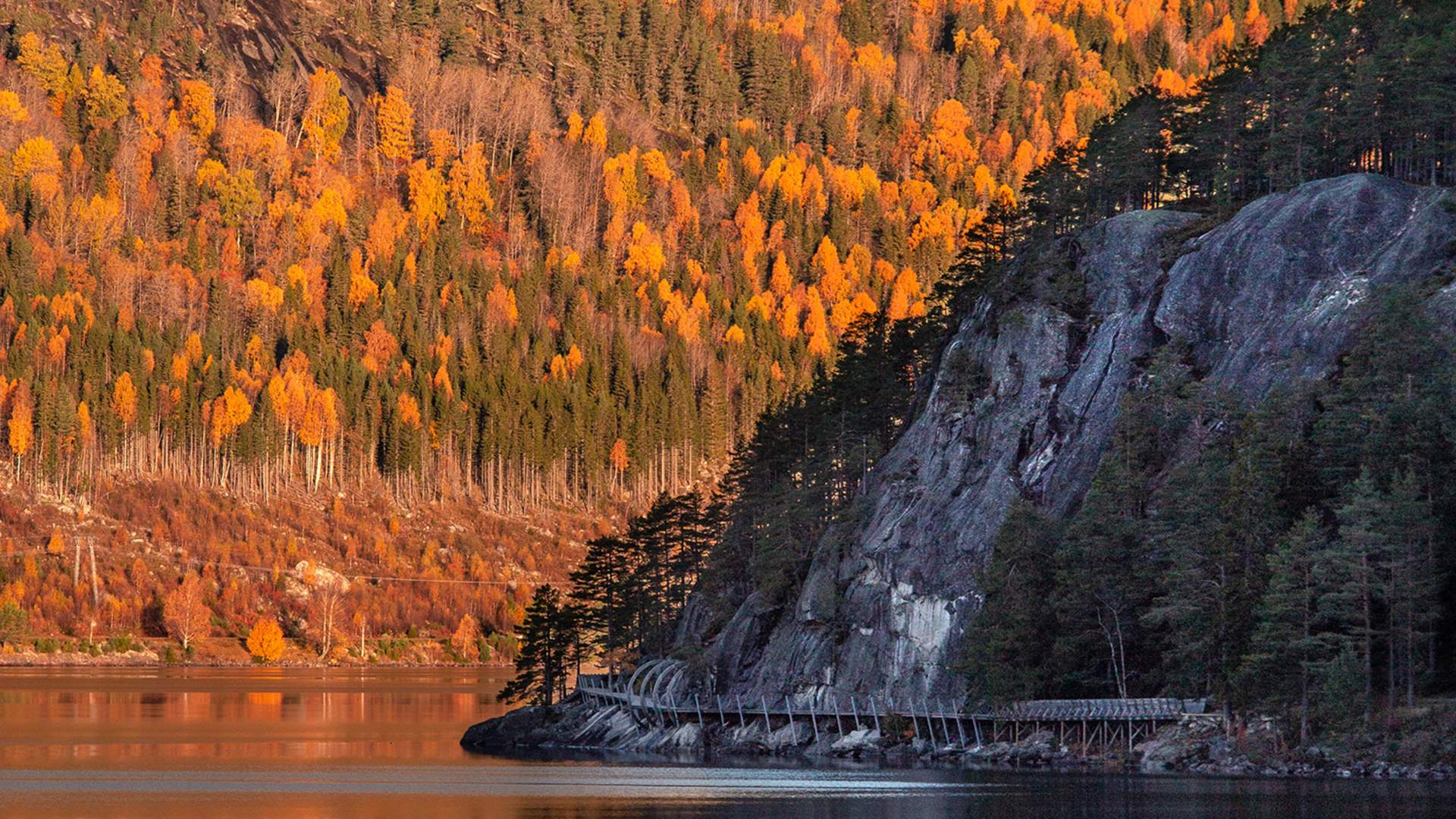 Fyresdal_Høst_Kristine Slyngstad.03