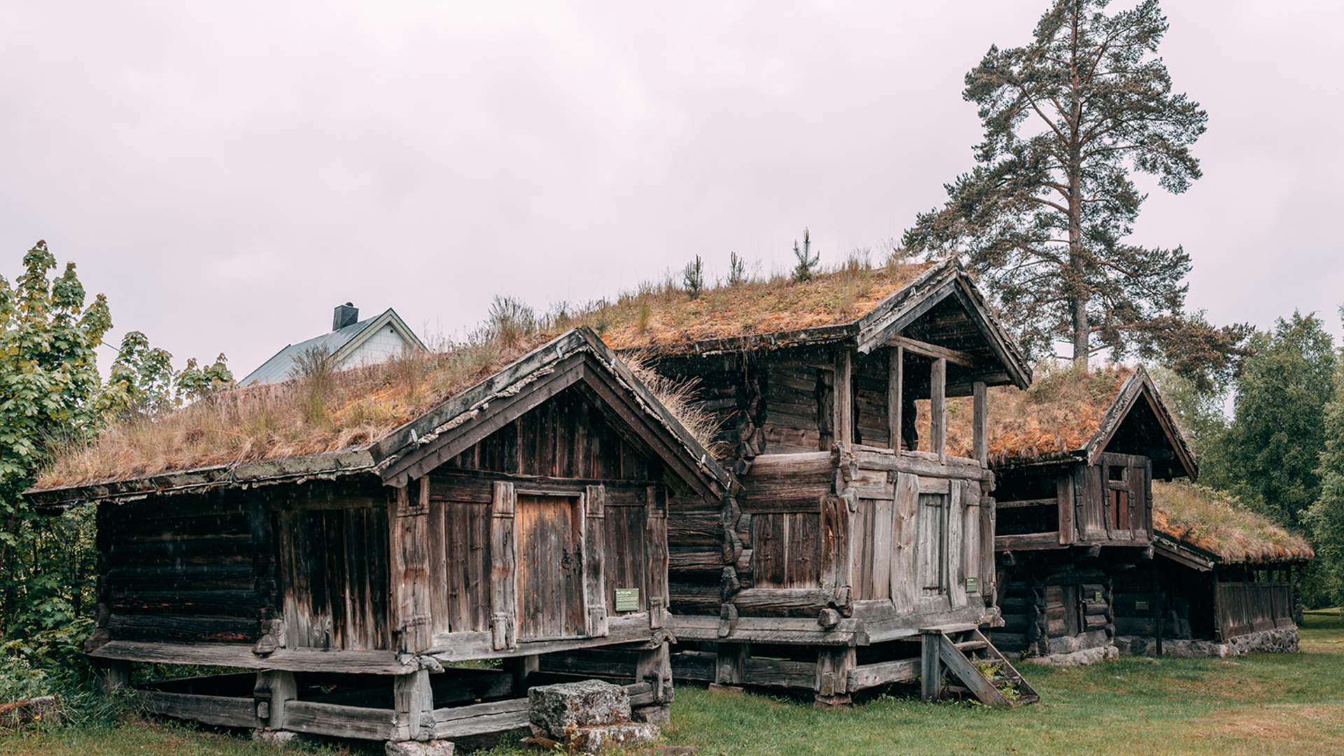 Fyresdal_Sommer_explorewithjohan_Fyresdal bygdetun.2_1500x1000