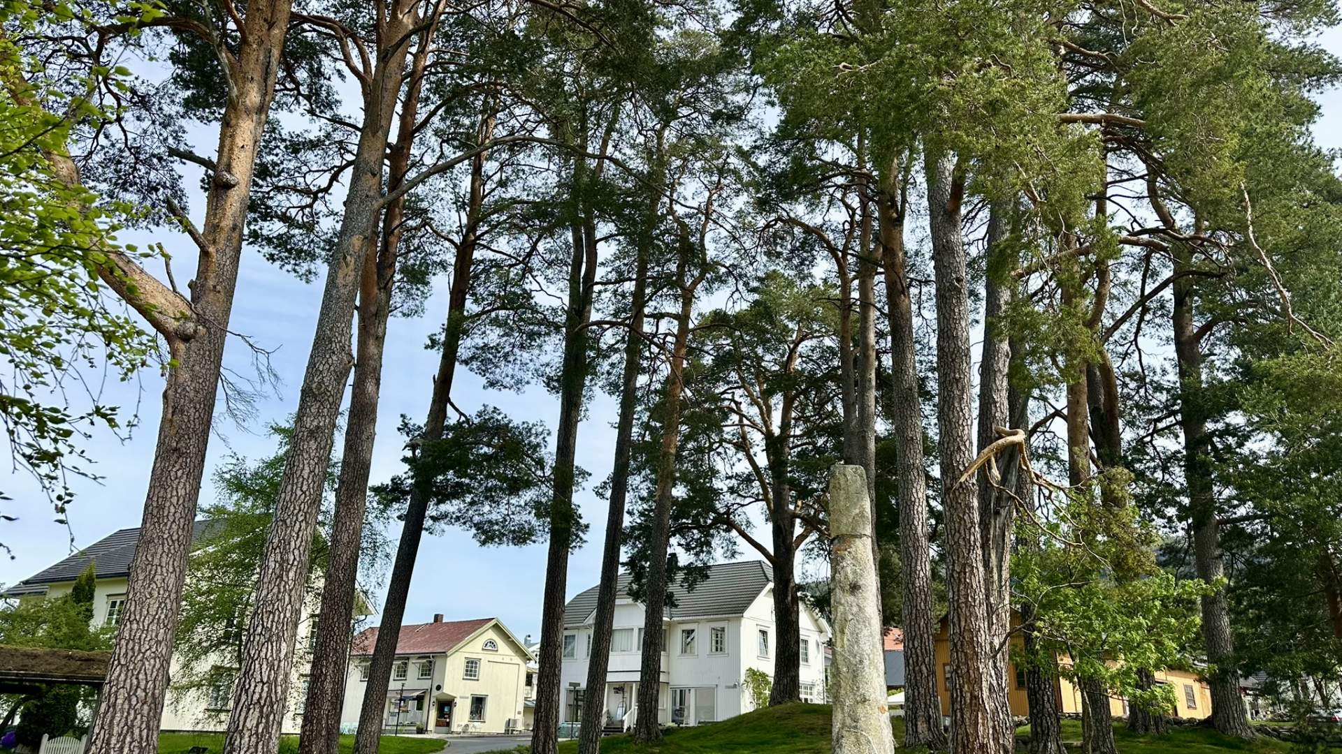 Fyresdal bygdemuseum (4)