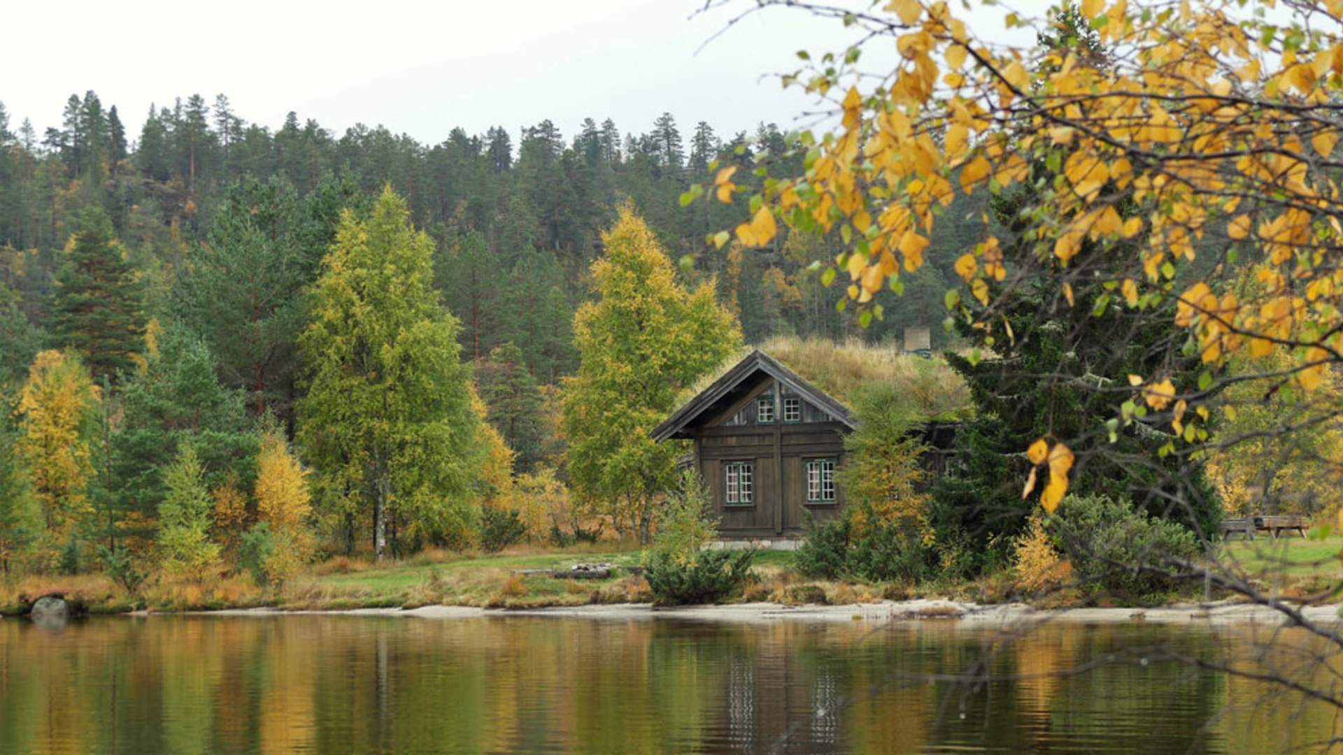 Fyresdal_høst_hytte-fiskebustøylen-i-Fyresdal-ved-vannet_1000x562