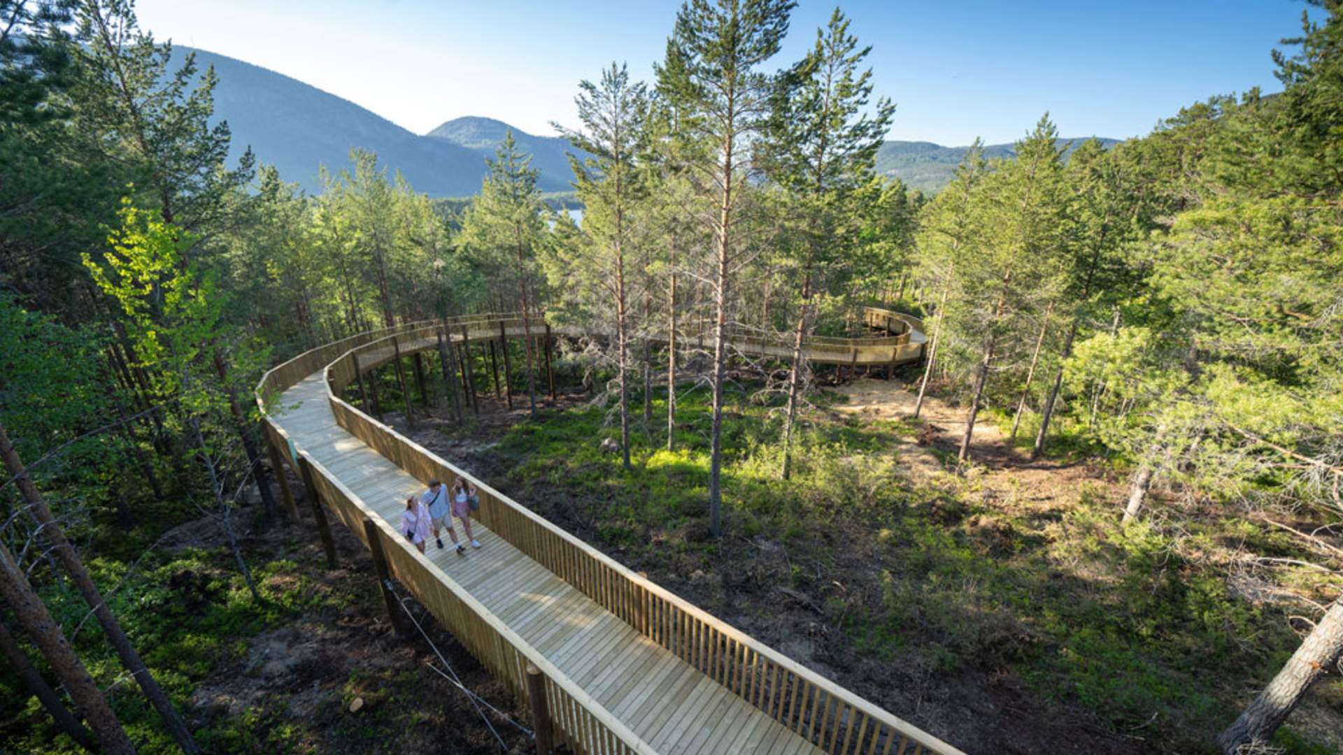 Fyresdal_sommer_Yngve-Ask_folk-på--tretoppveien-Hamaren_1000x667