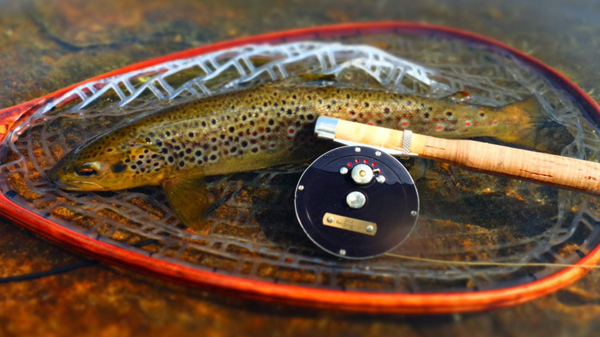 Fyresdal_sommer_fiske-i-nett_1000x563