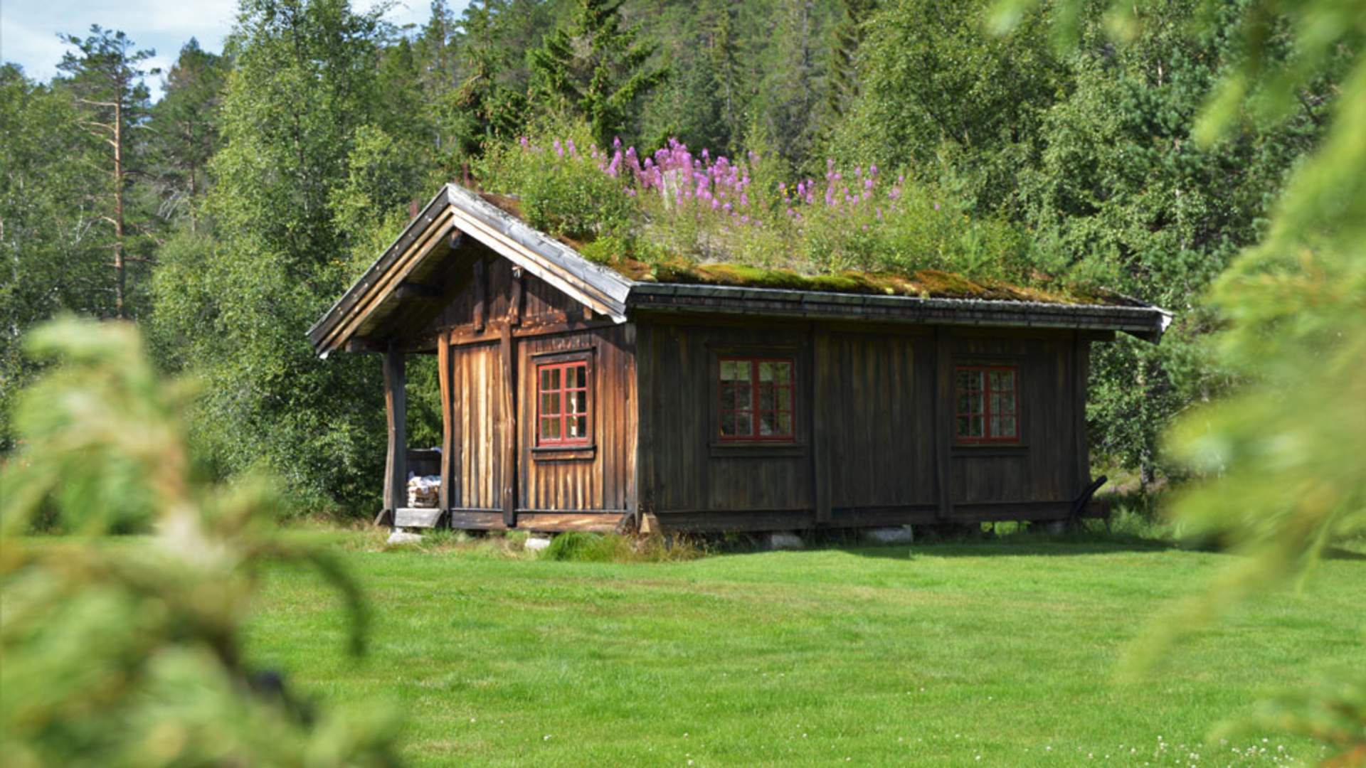 Fyresdal_sommer_hytte-til-fiskebustøylen-i-Fyresdal_1000x562