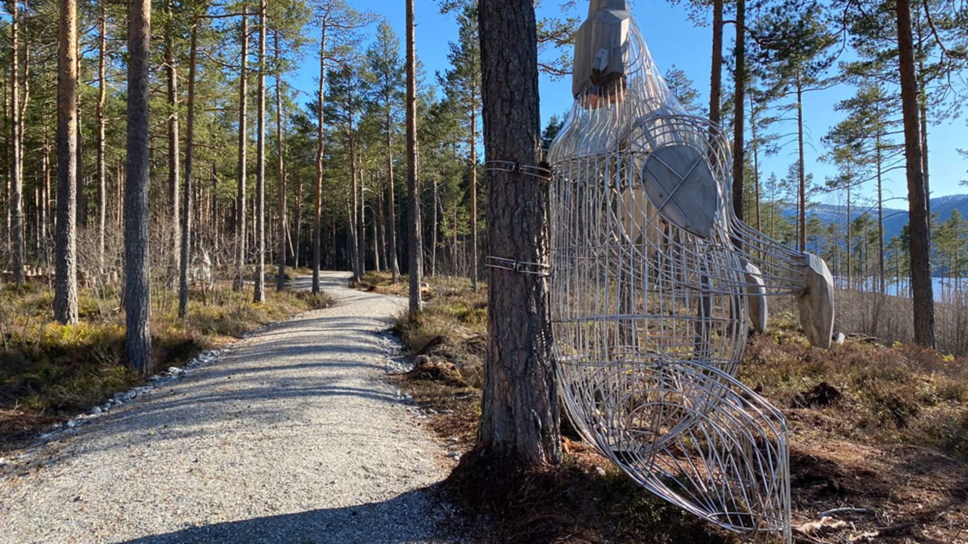 bjørn på Hamaren aktivitetspark